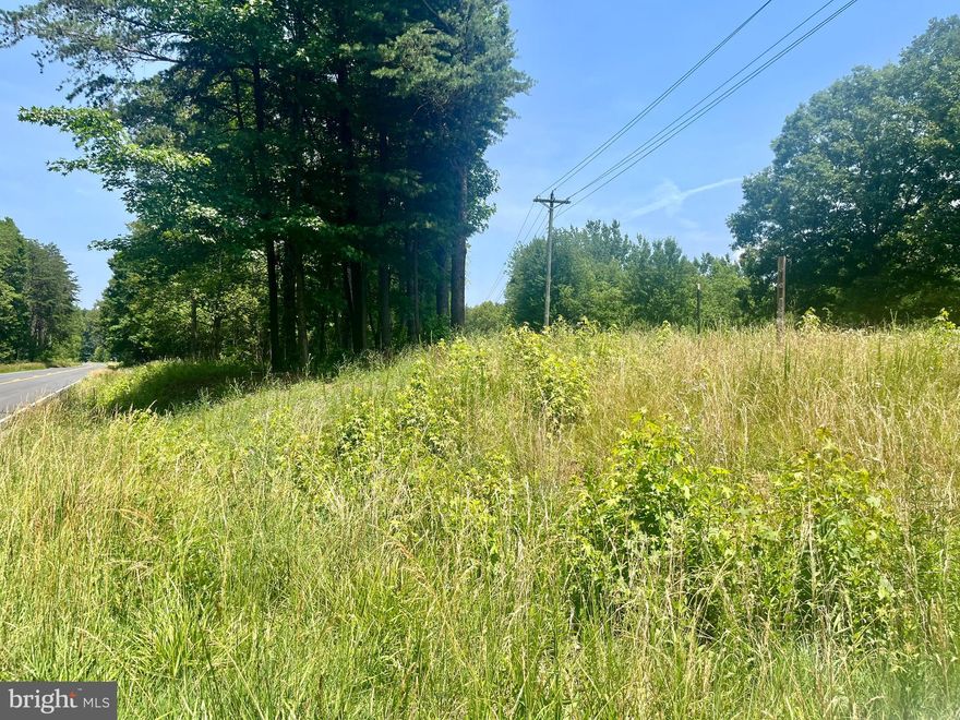 Excellent opportunity to own a 1.7-acre commercial lot in a growing area near Lake Anna. This property offers high visibility and easy access, conveniently located off the main road. Ideal for a variety of commercial uses, with additional parcels available for purchase to allow for future expansion. Don’t miss this exceptional opportunity!
