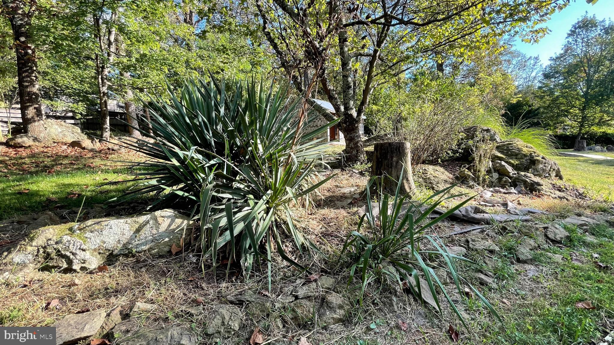 SKYLINE ORCHARDS - Residential