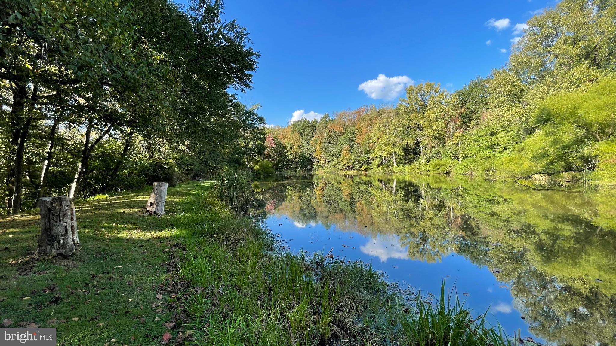 SKYLINE ORCHARDS - Residential