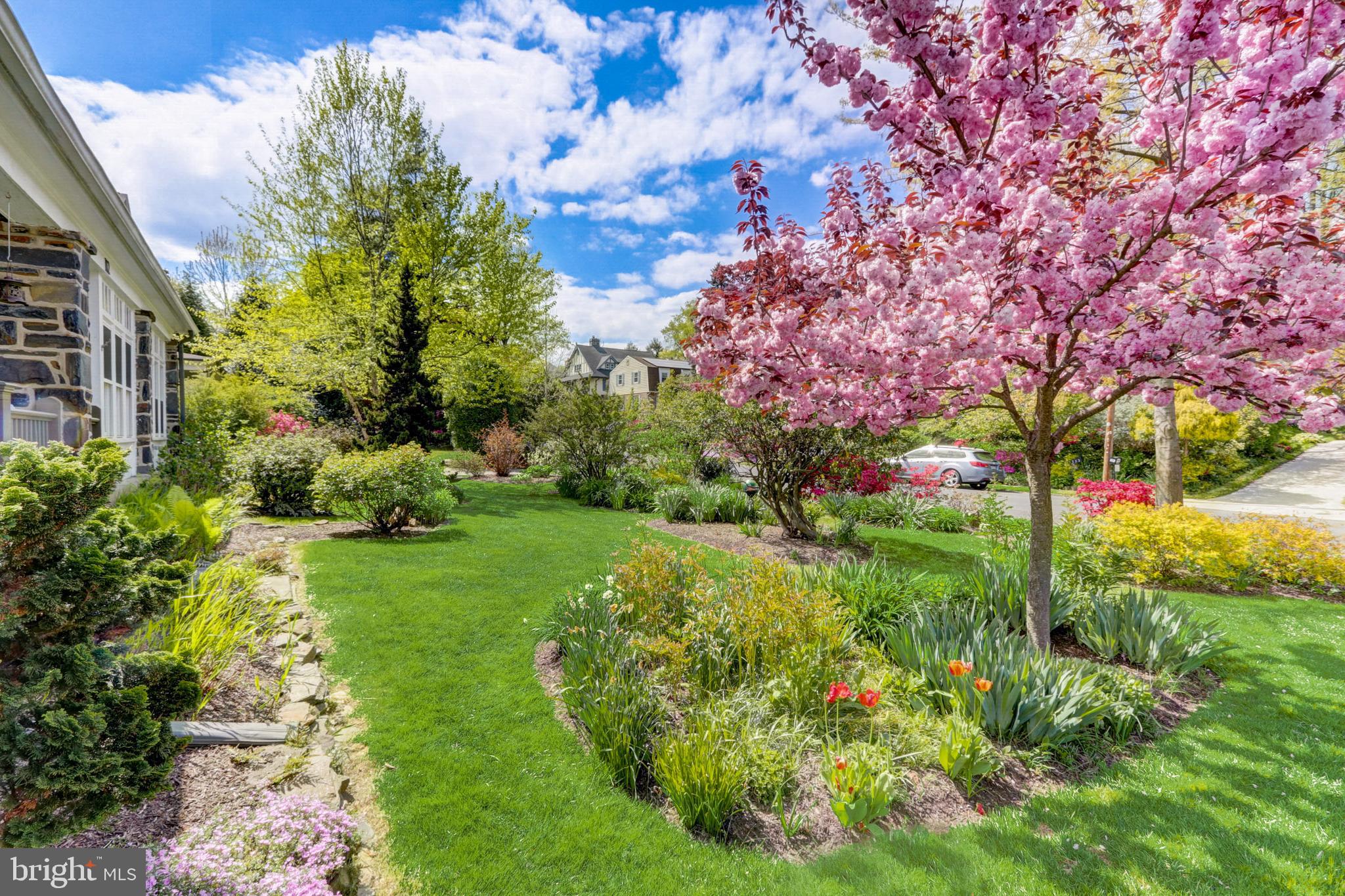 CYNWYD - Residential