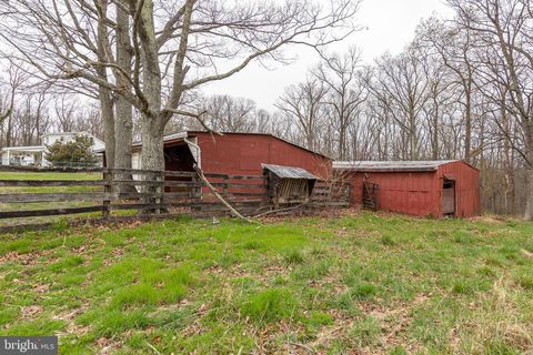 listing image 44