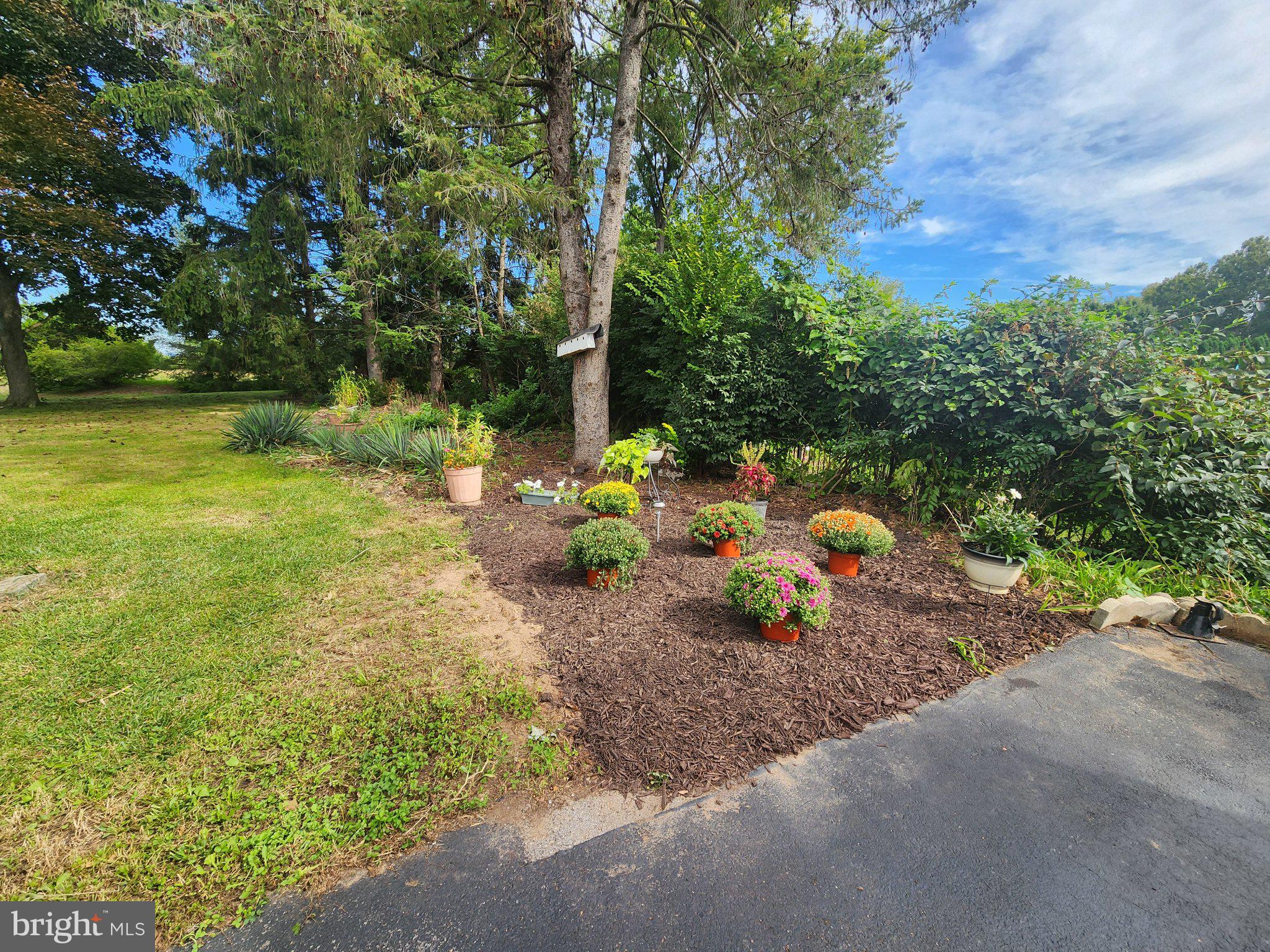27 FOREST AVENUE