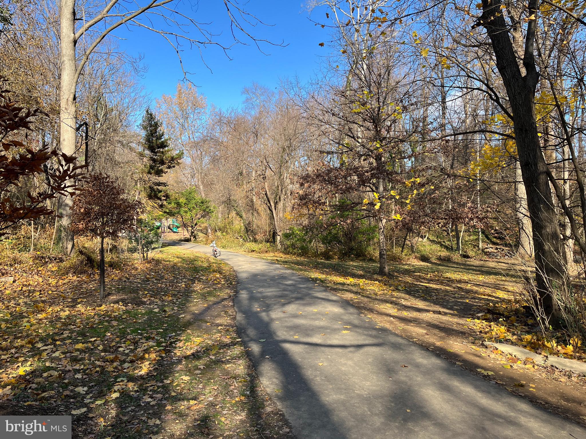 TAKOMA PARK - Residential Lease