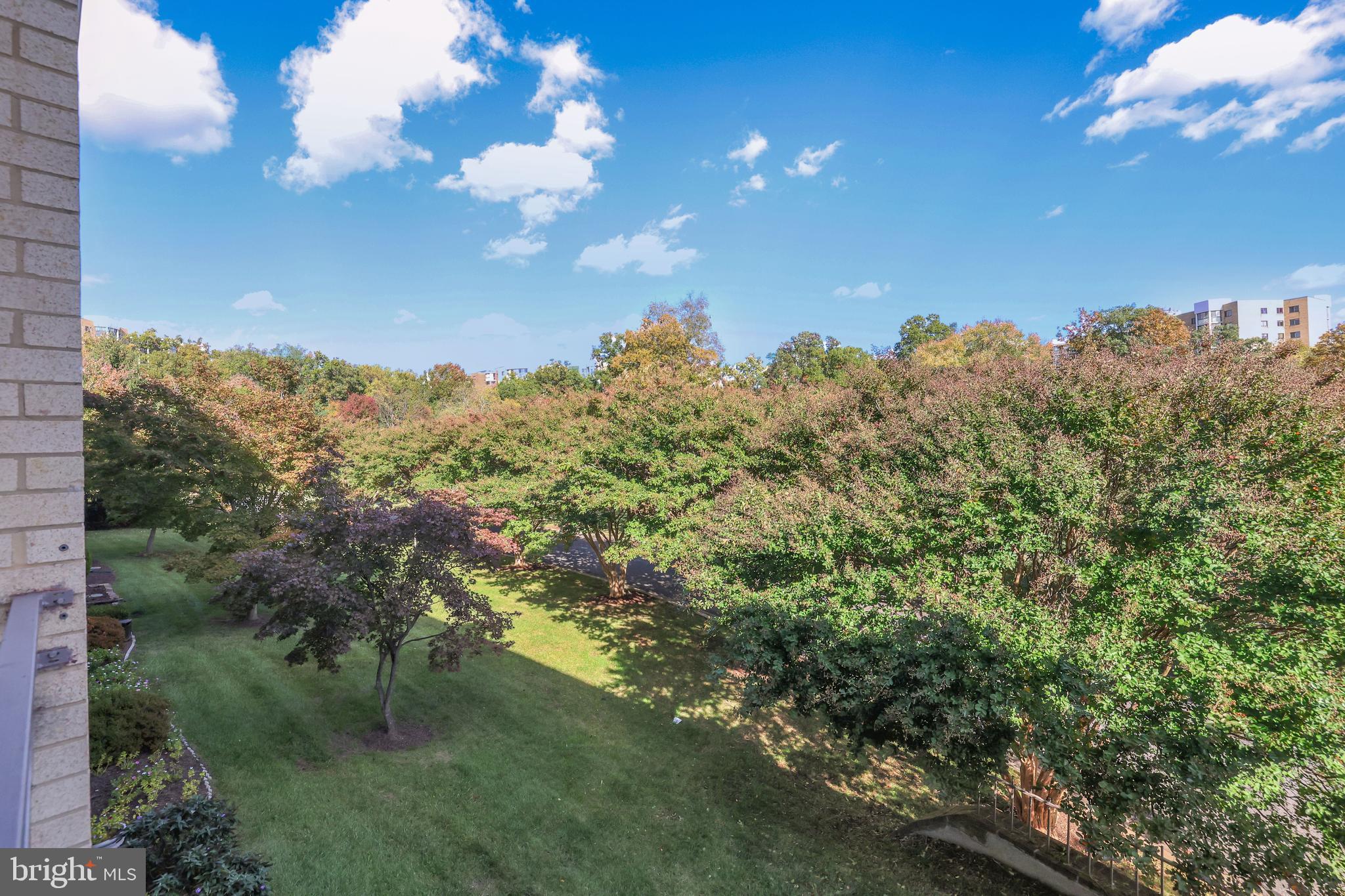 ROSSMOOR MUTUAL #14 - Residential