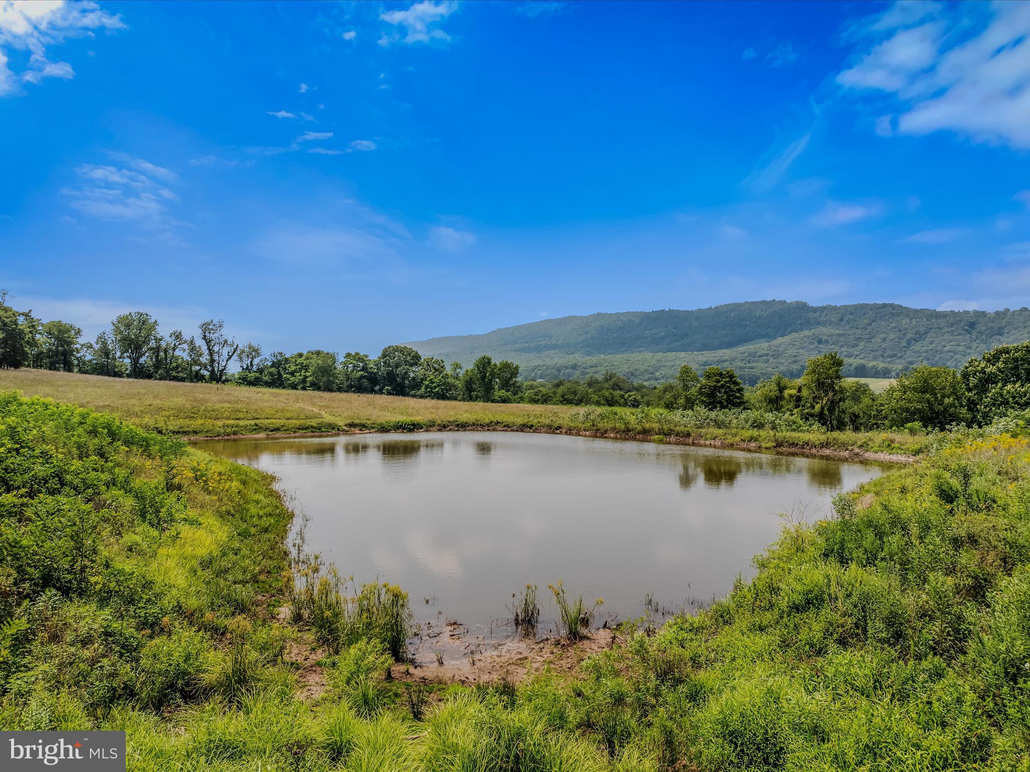 IMPERIAL ORCHARDS - Land