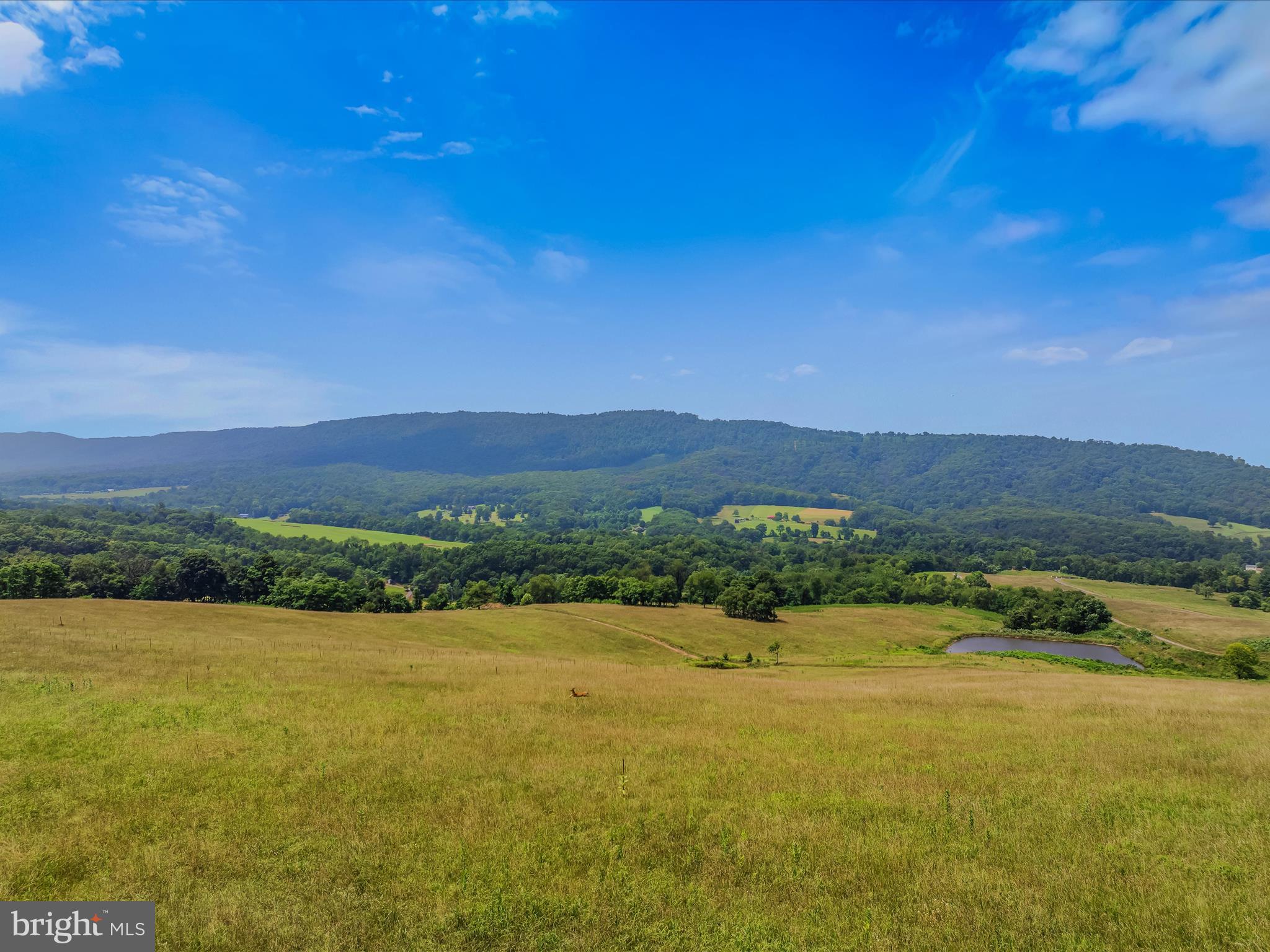 IMPERIAL ORCHARDS - Land