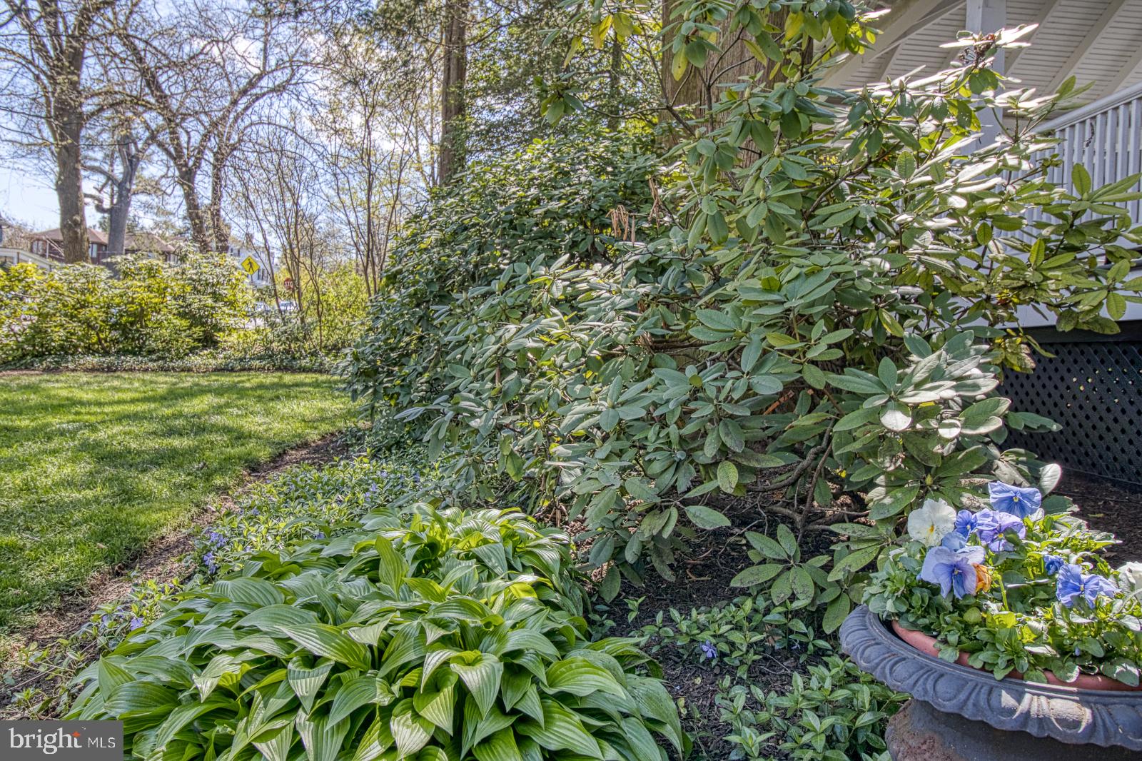 ROLAND PARK - Residential