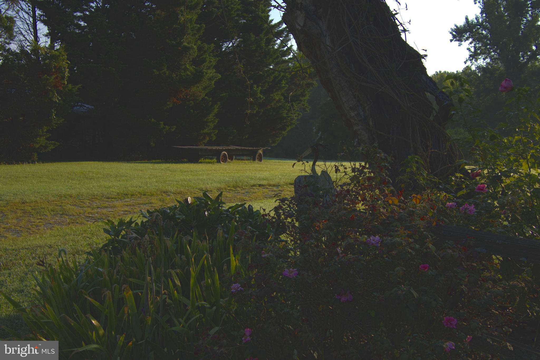 NONE  NO HOA - Residential