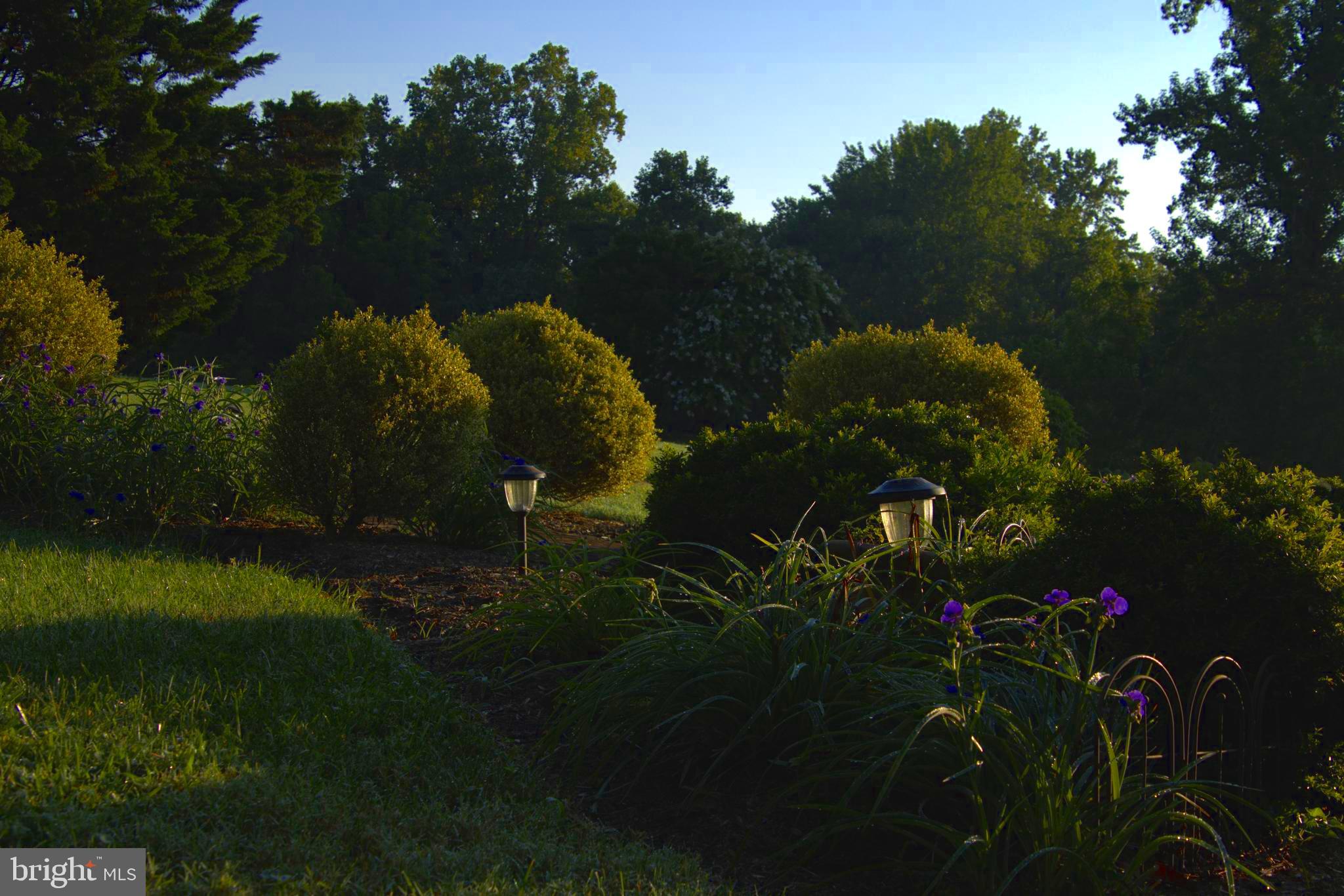 NONE  NO HOA - Residential