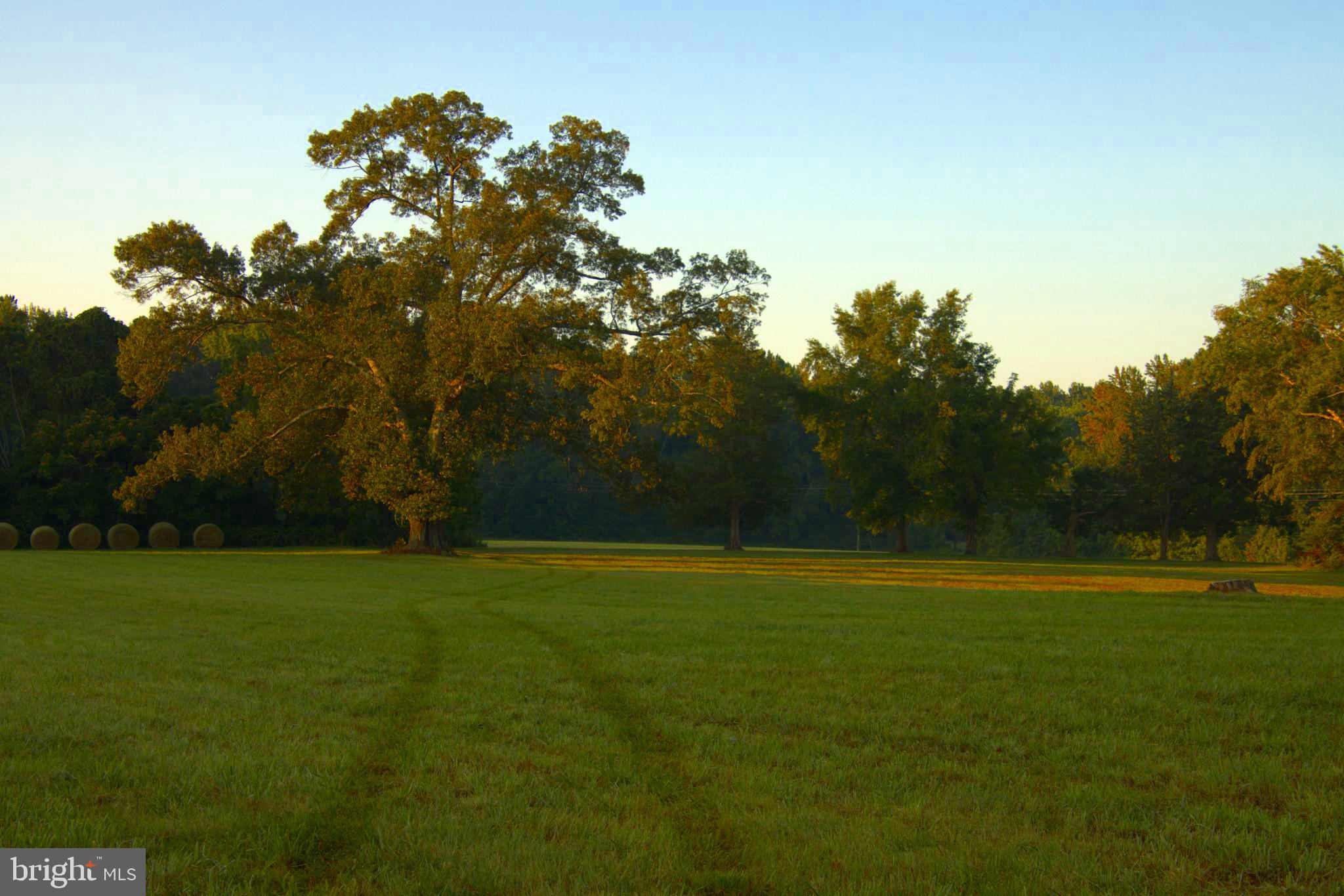 NONE  NO HOA - Residential