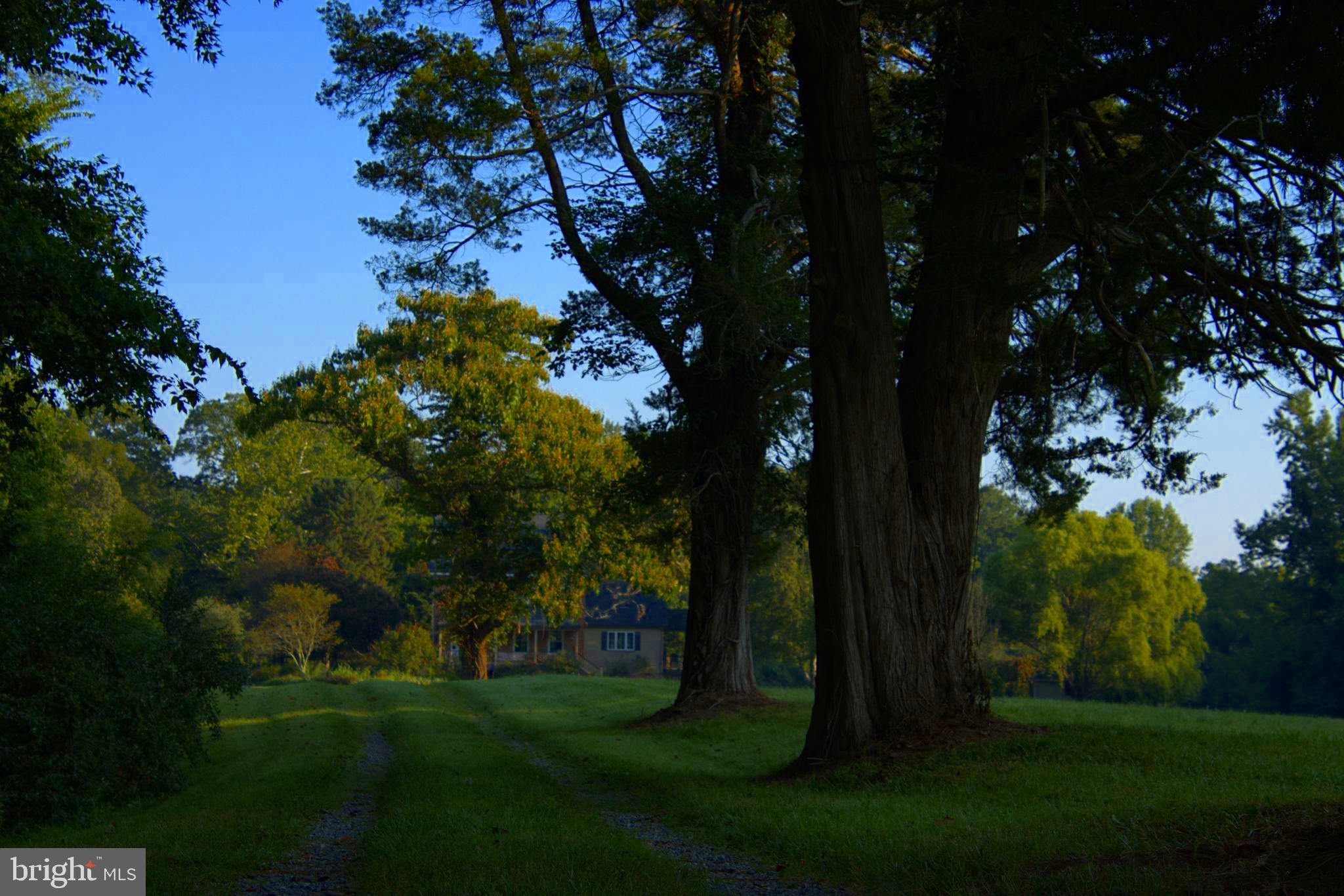 NONE  NO HOA - Residential