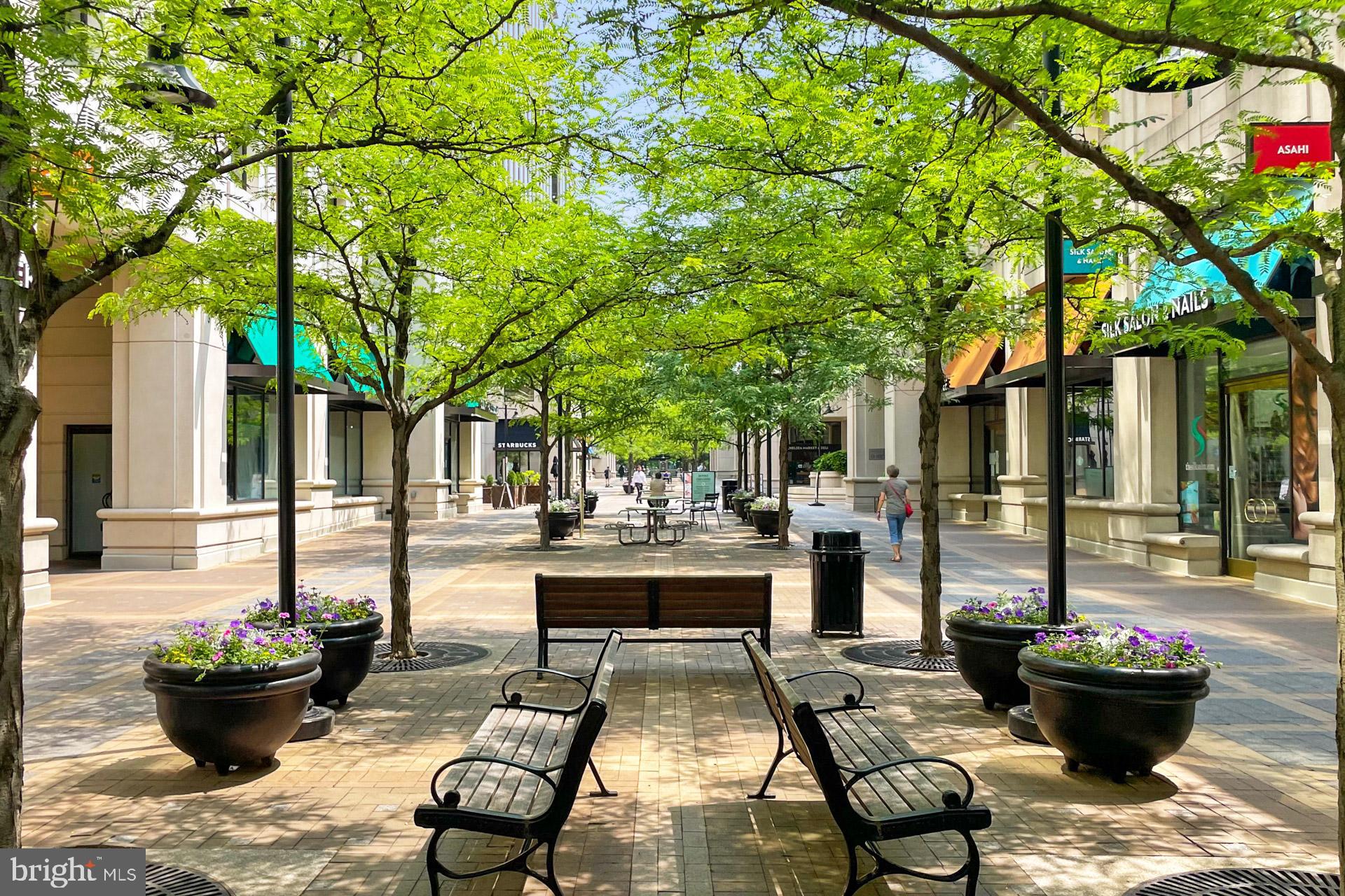 CLARENDON - Residential