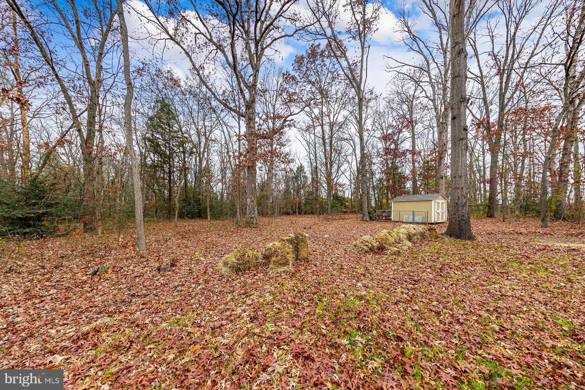 Buena, New Jersey 08310, United States, 4 Bedrooms Bedrooms, ,3 BathroomsBathrooms,Residential,Active,250075