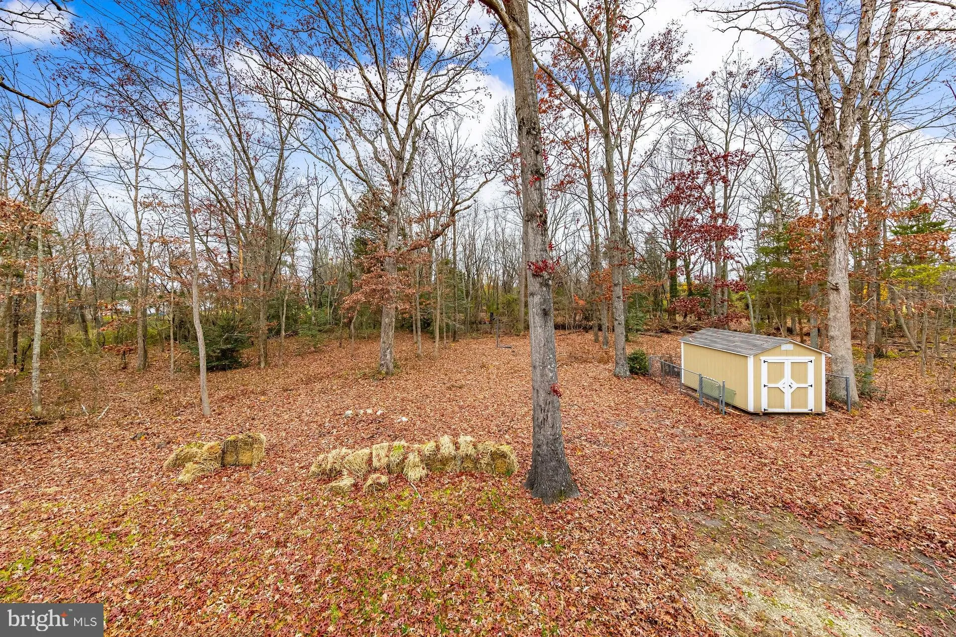 Buena, New Jersey 08310, United States, 4 Bedrooms Bedrooms, ,3 BathroomsBathrooms,Residential,Active,250075