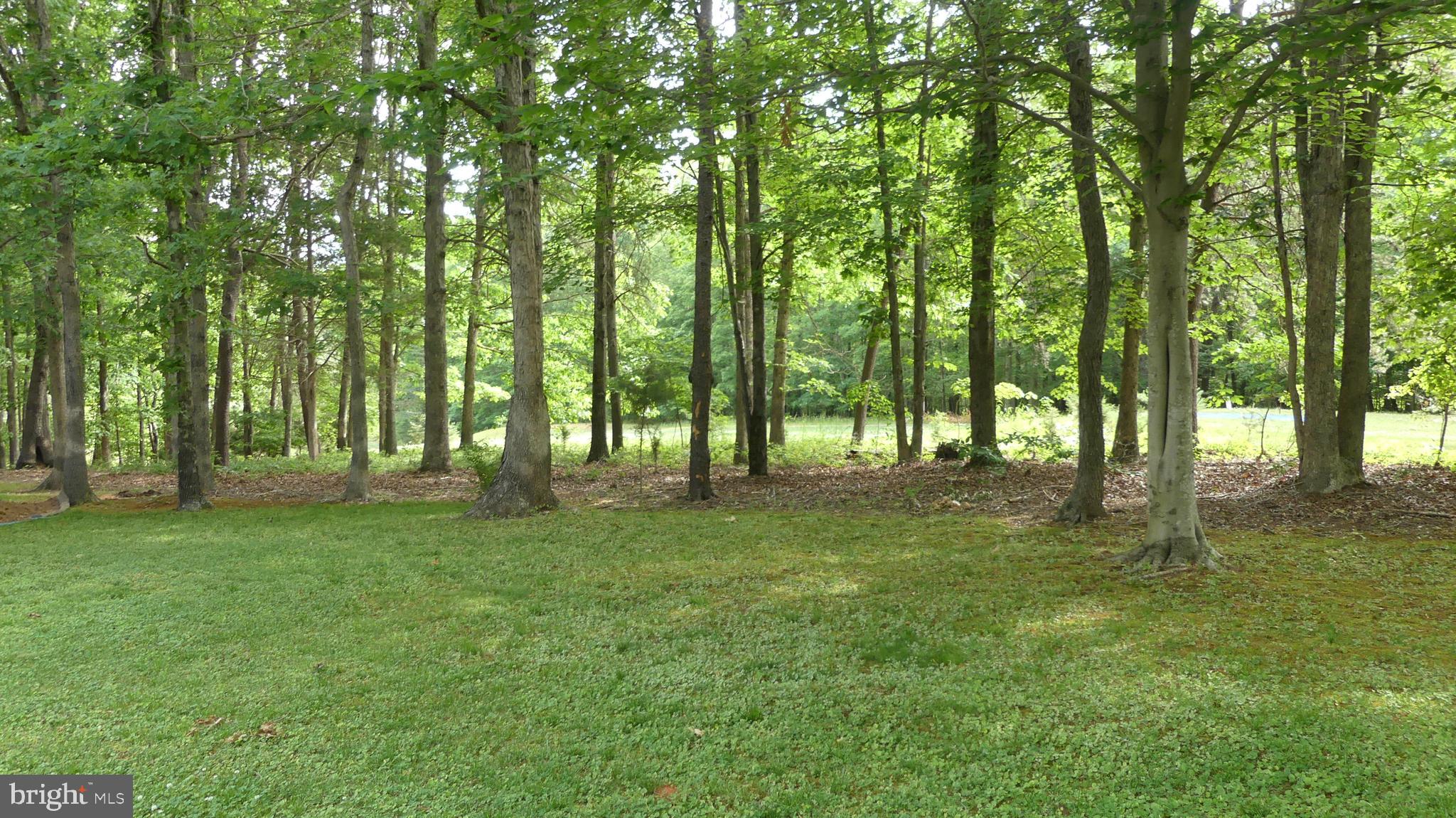 SHENANDOAH CROSSING - Residential