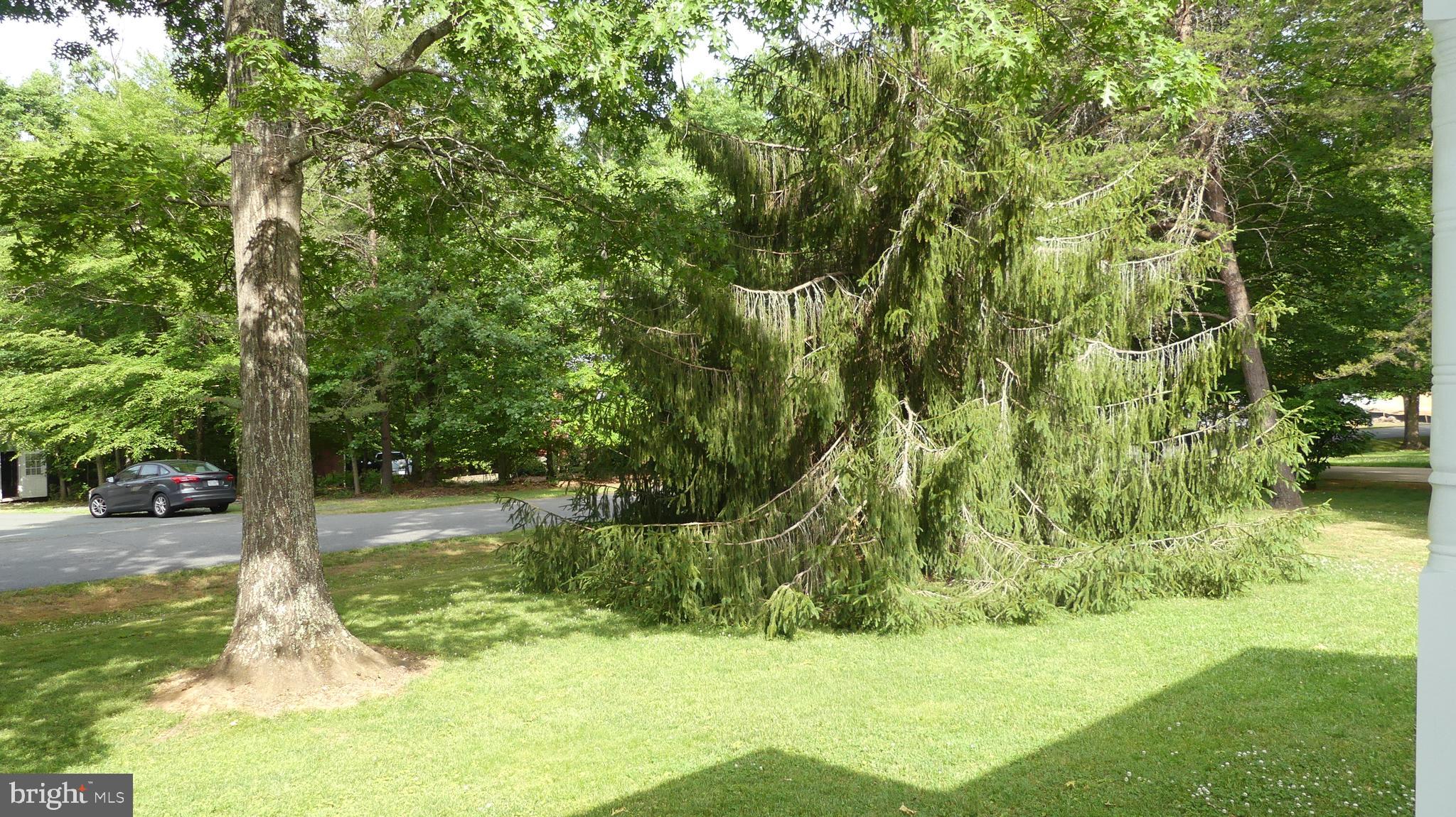 SHENANDOAH CROSSING - Residential