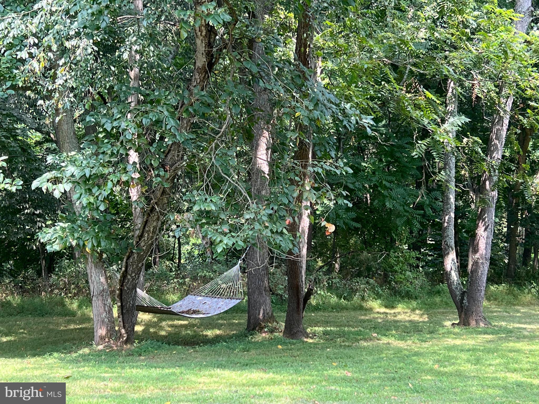 OAKLEIGH - Residential