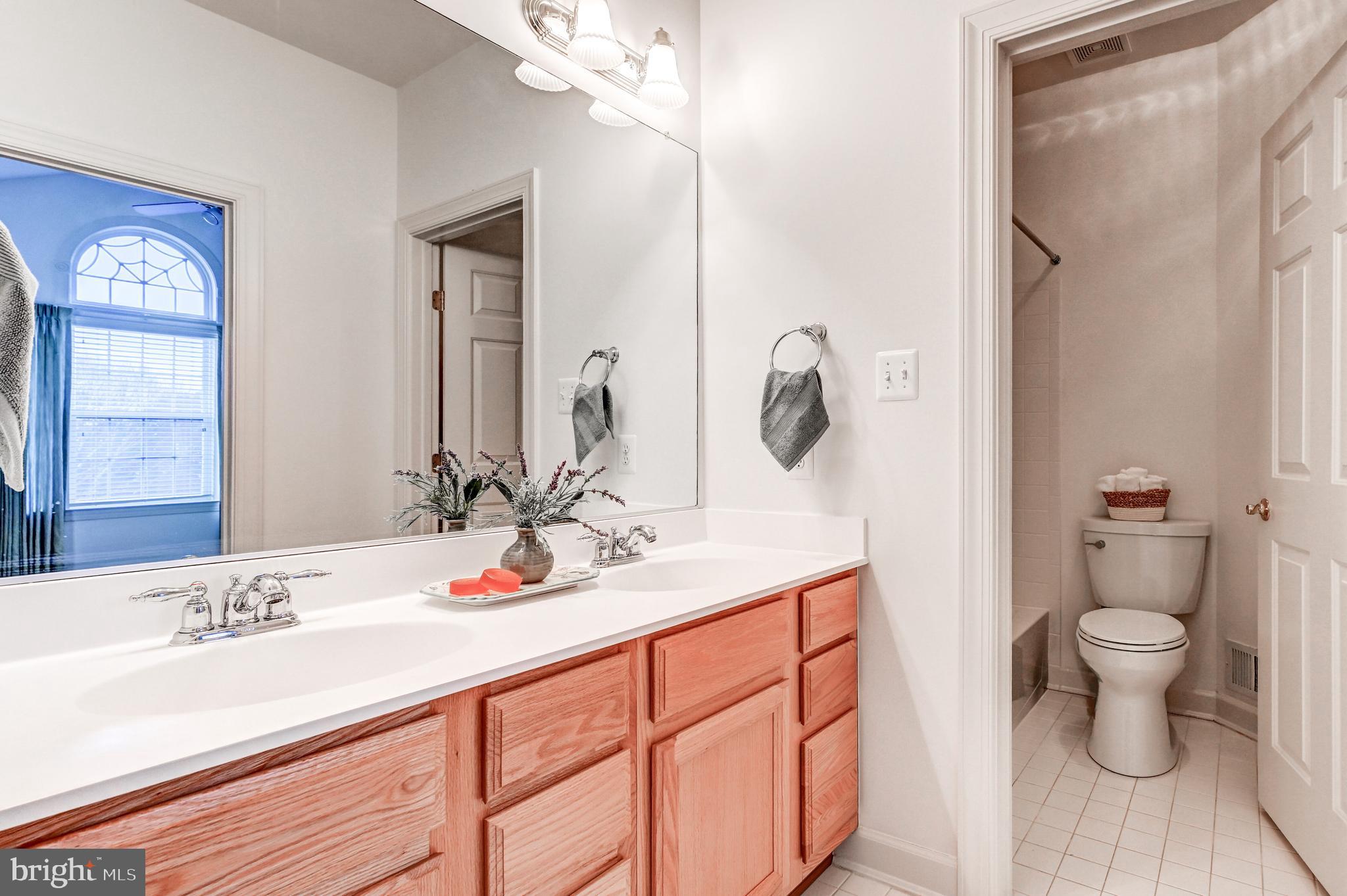 ELLICOTT MEADOWS - Residential