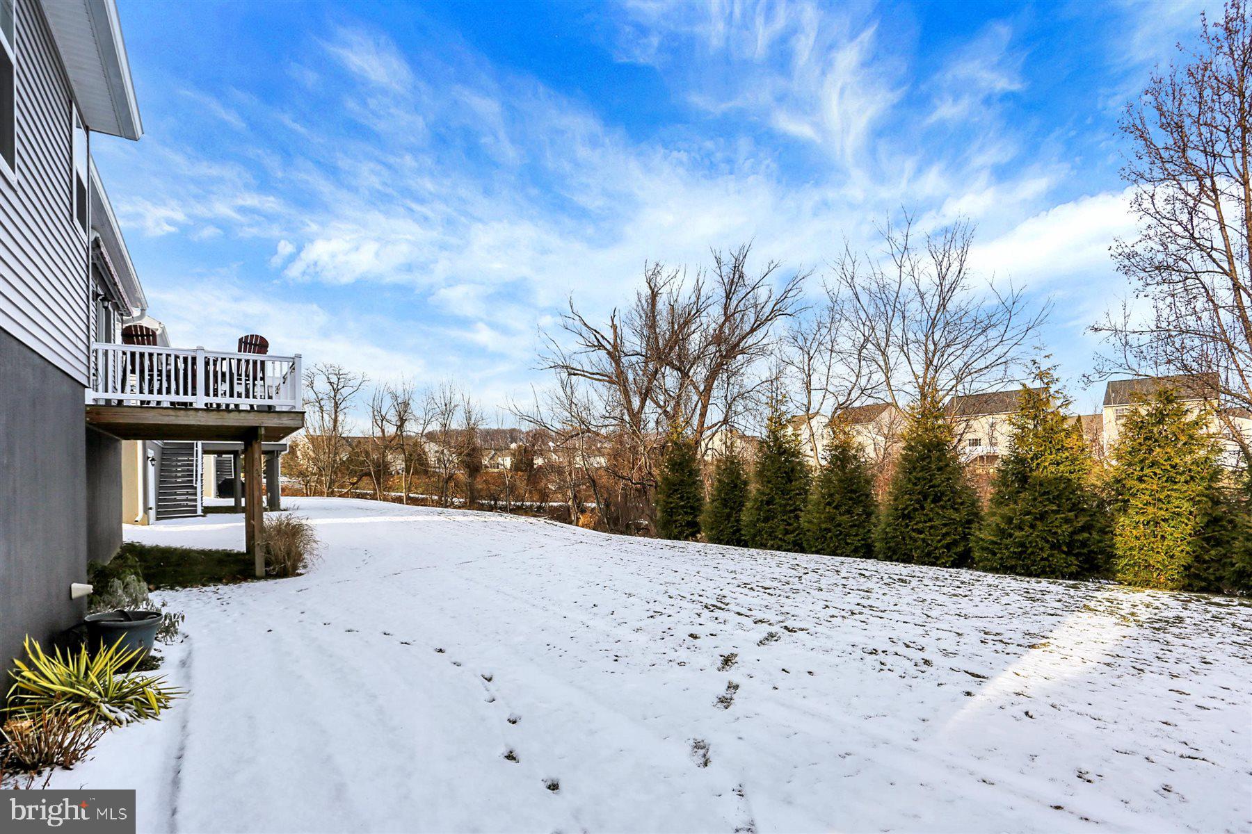 CORTLAND PARK AT WINDING HILLS - Residential