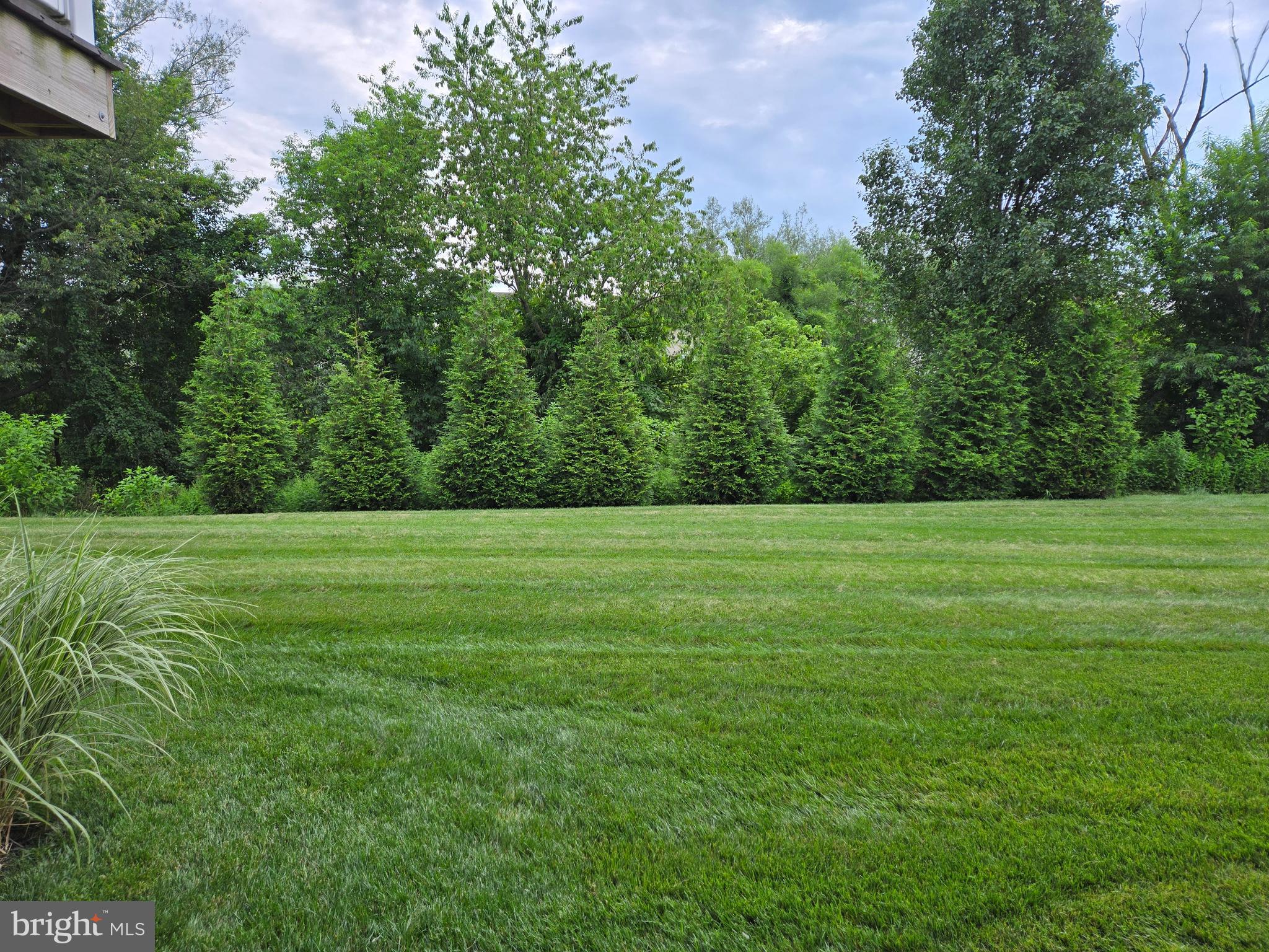 CORTLAND PARK AT WINDING HILLS - Residential