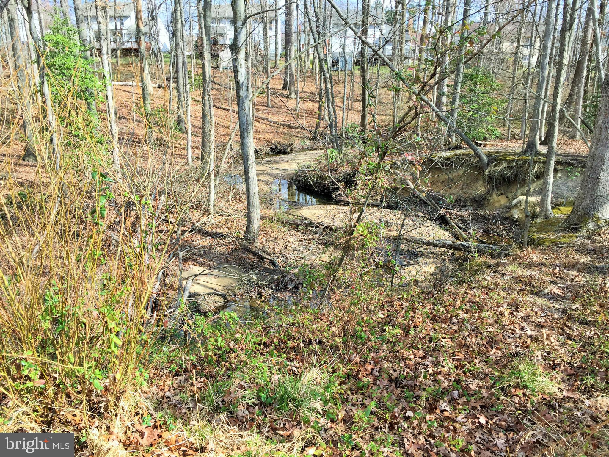 SILVER SPRING STATION - Residential