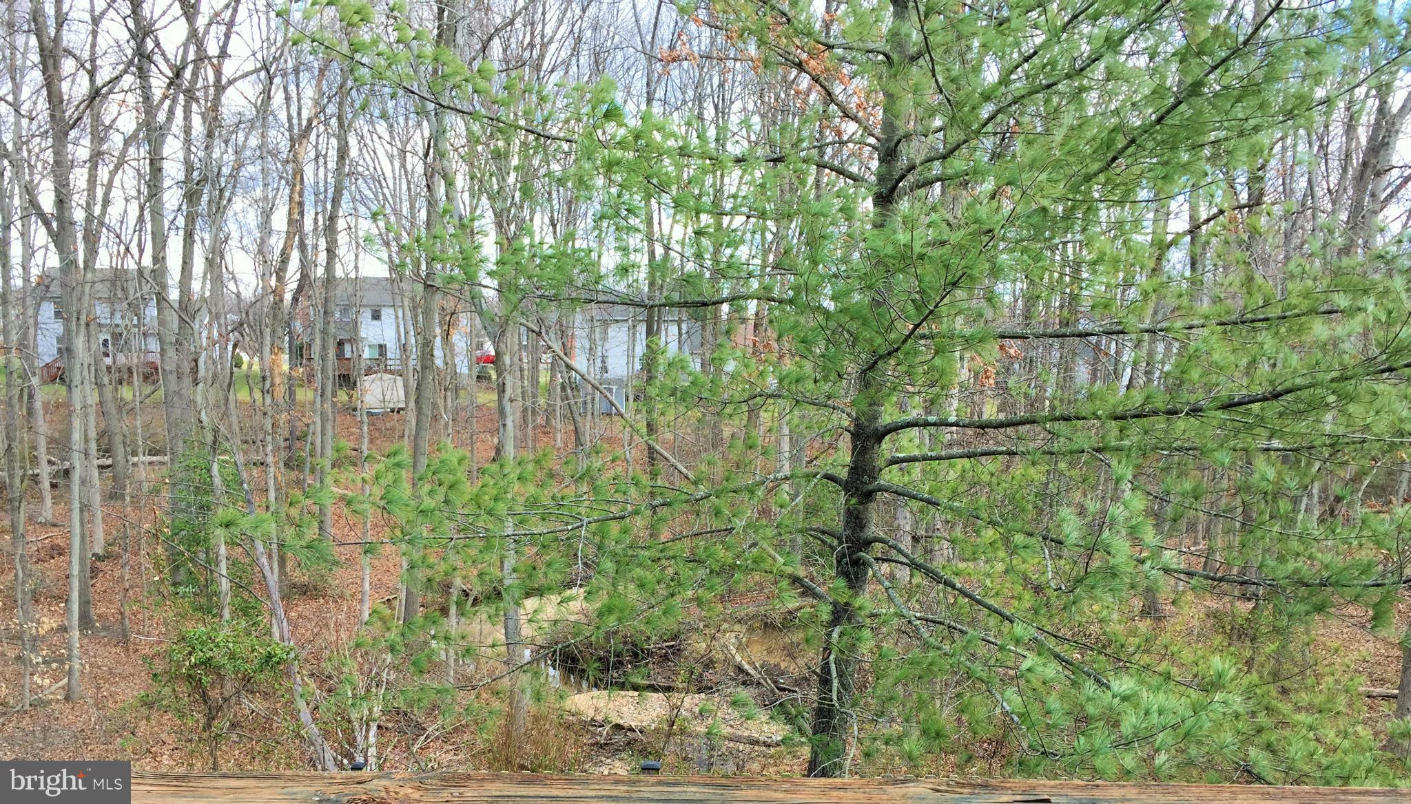 SILVER SPRING STATION - Residential