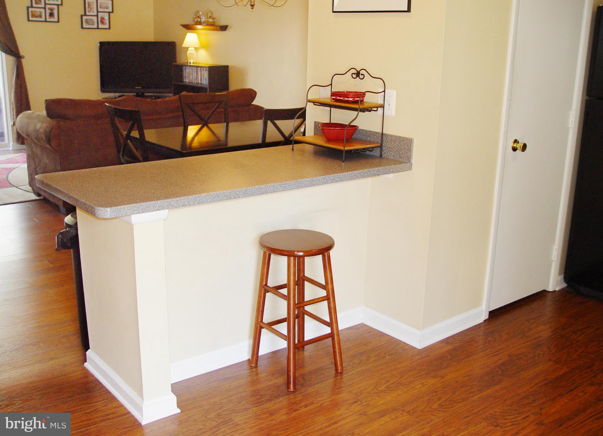 SILVER SPRING STATION - Residential