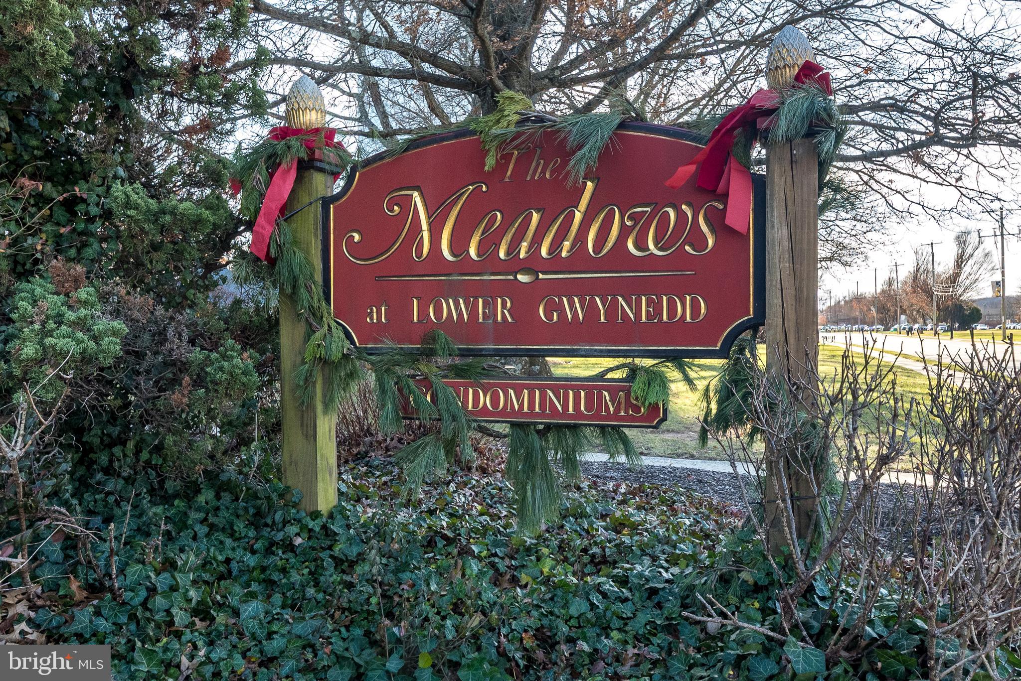 MEADOWS AT LOWER GWYNNED - Residential