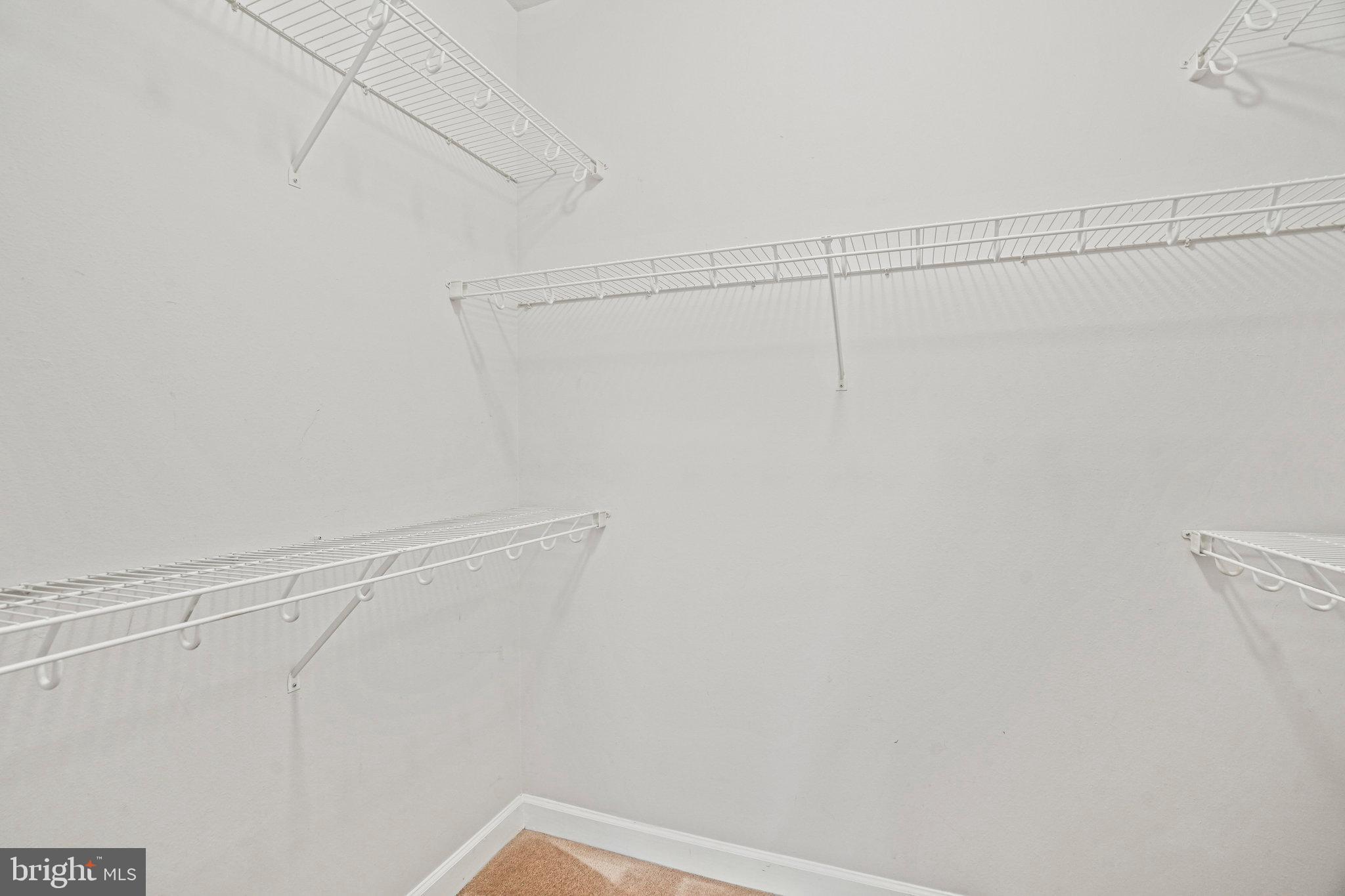 FITZ AT ROCKVILLE TOWN C - Residential Lease