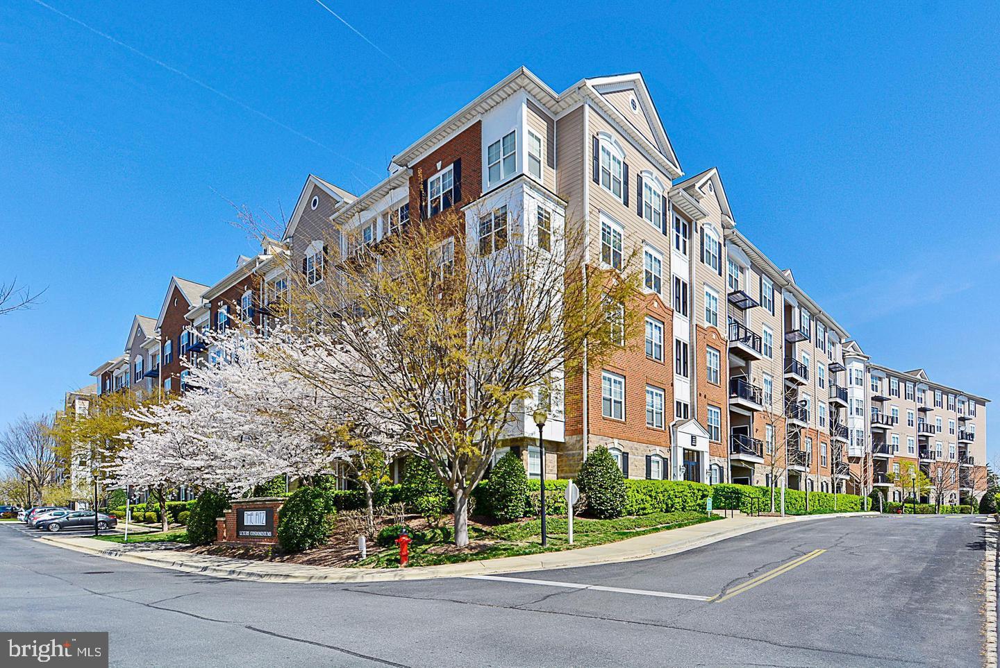 FITZ AT ROCKVILLE TOWN C - Residential Lease