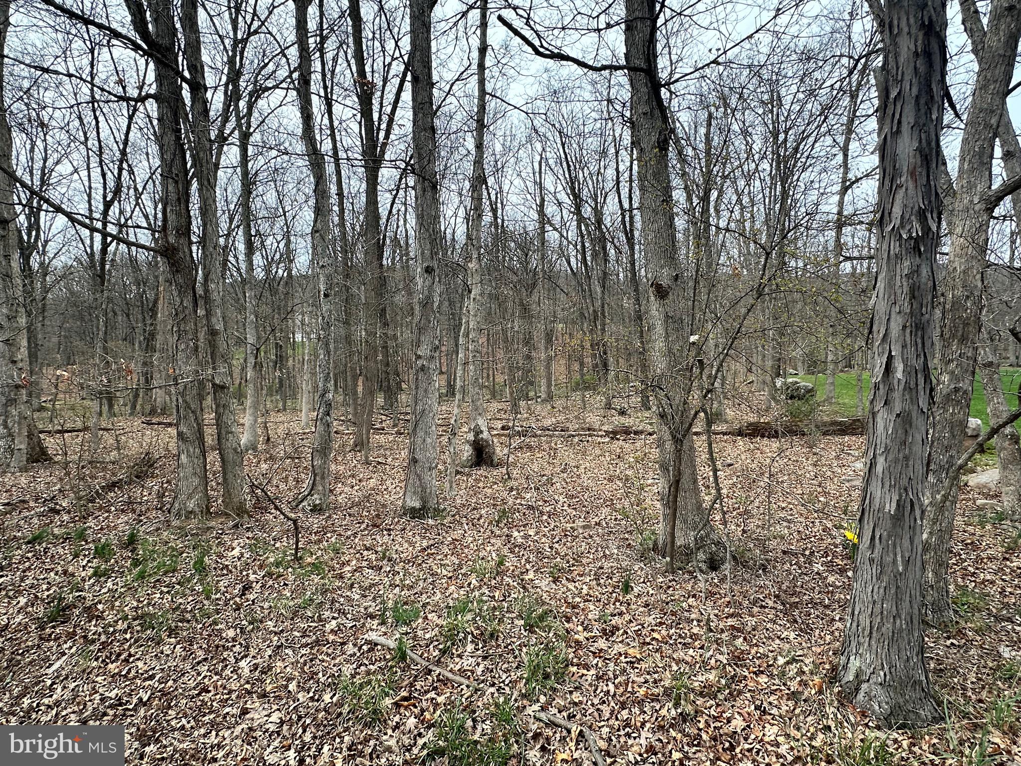 TIMBERLAKE ESTATES - LOT 27