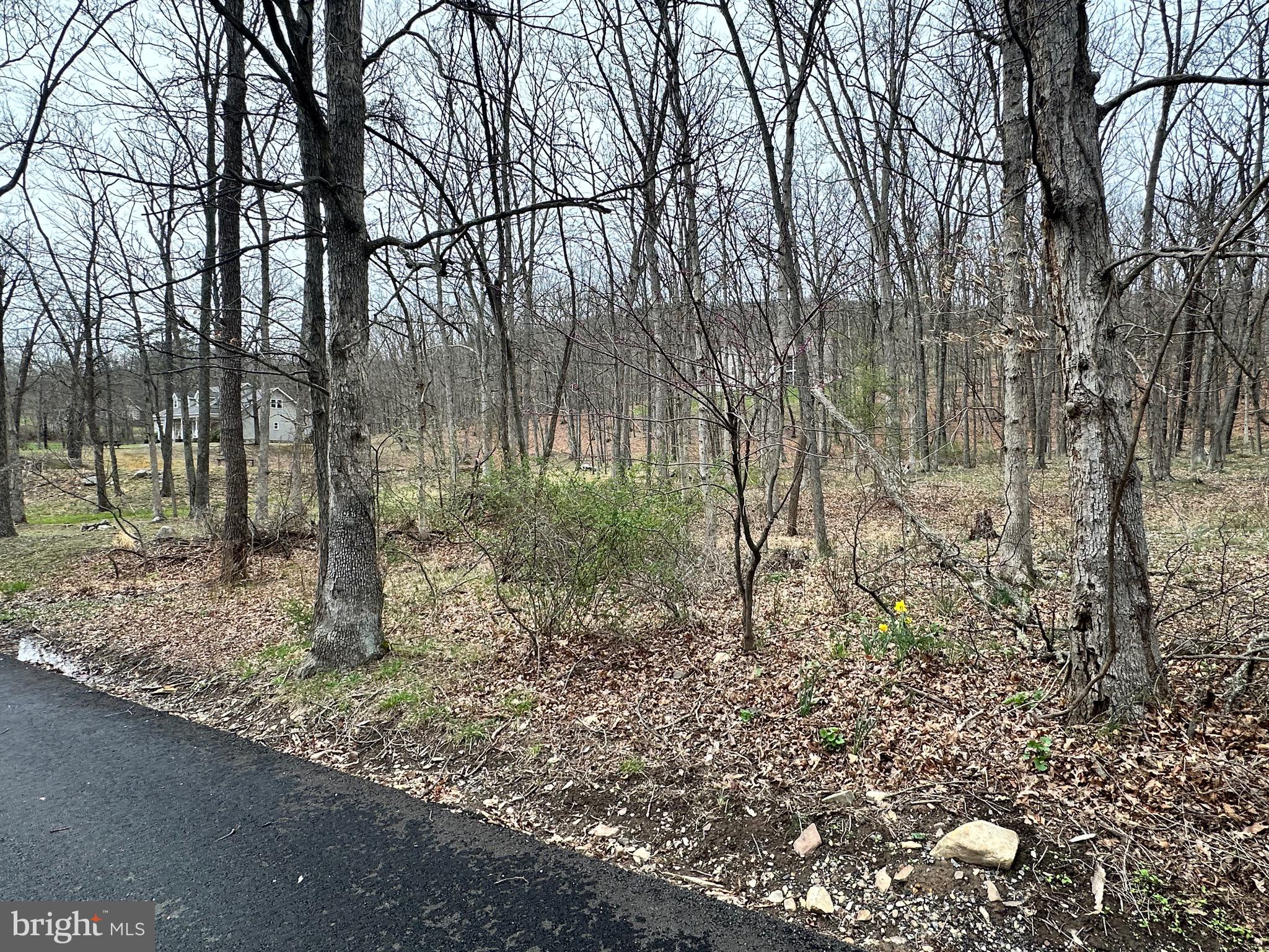 TIMBERLAKE ESTATES - Land