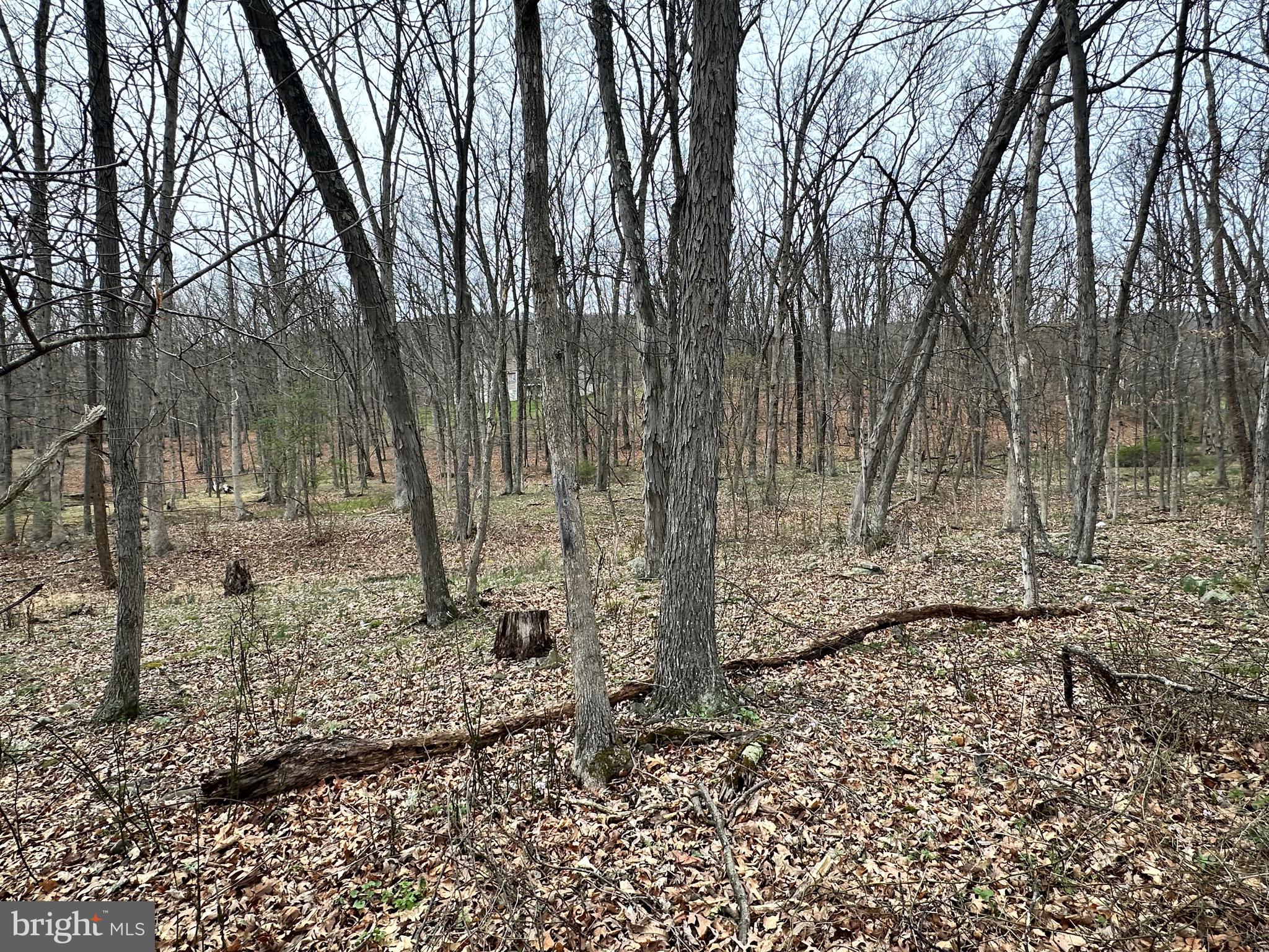 TIMBERLAKE ESTATES - Land