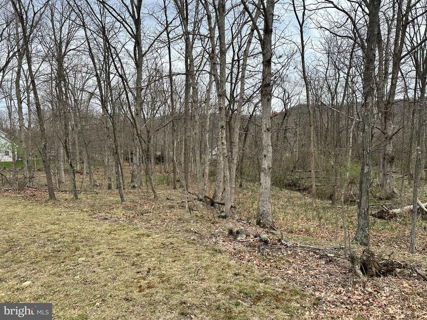 FULLY WOODED 1.03 ACRE BUILDING LOT IN THE (WELL ESTABLISHED) PRESTIGIOUS TIMBERLAKE ESTATES SUBDIVISION. SENSIBLE COVENANTS. PAVED ACCESS ROADS. LEVEL TOPOGRAPHY. UTILITIES AT SITE. PRIVATE LAKE (RESERVOIR) RIGHTS! SMALL DRAINAGE CREEK RUNS THRU PROPERTY.