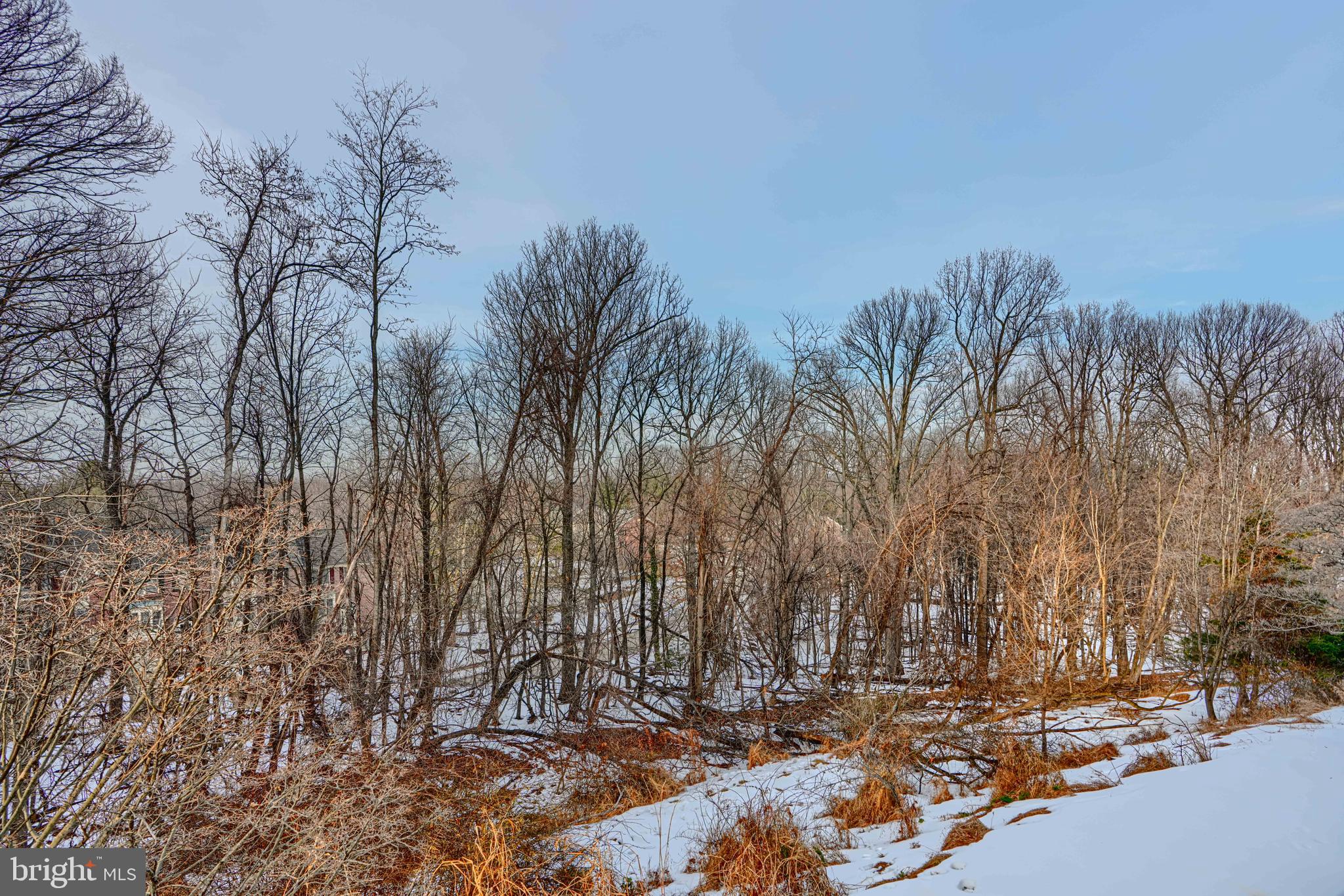 STAPLETON COURT GARDEN - Residential