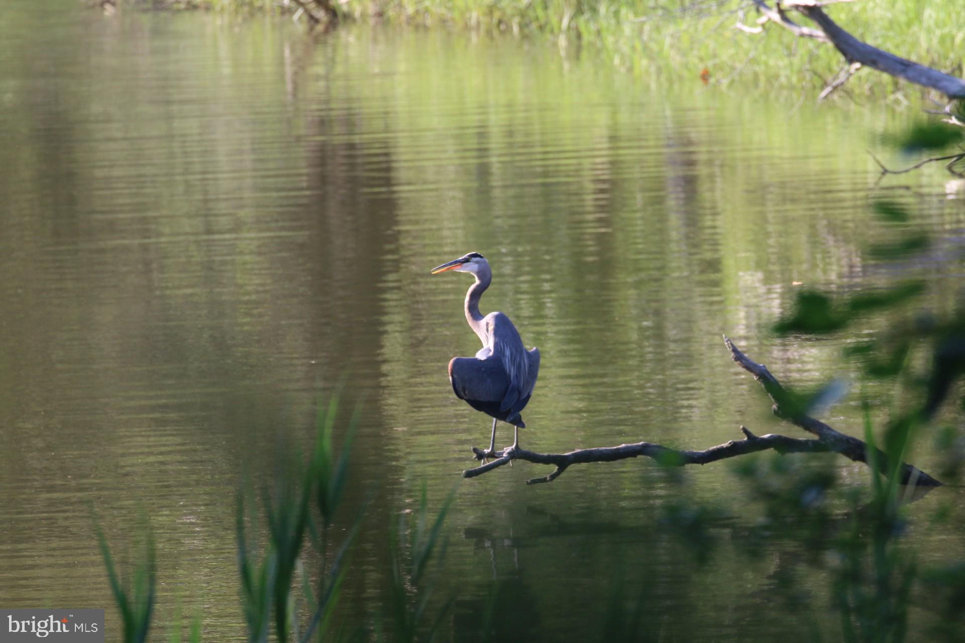 MYRTLE POINT - Residential