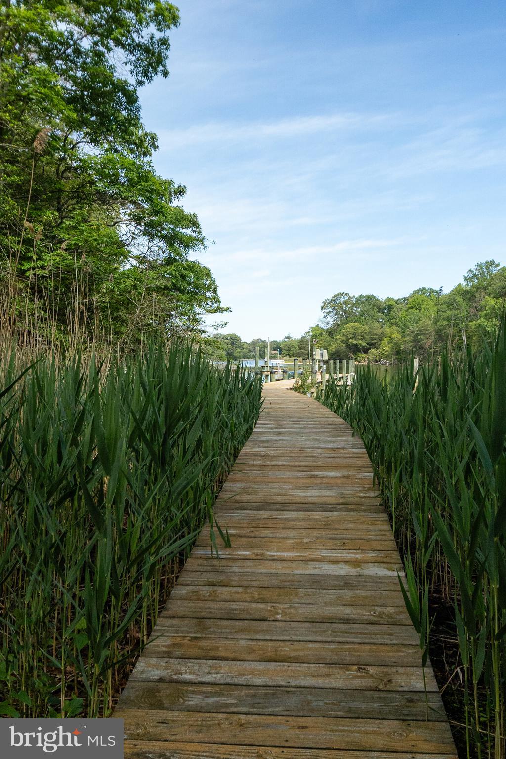 MYRTLE POINT - Residential