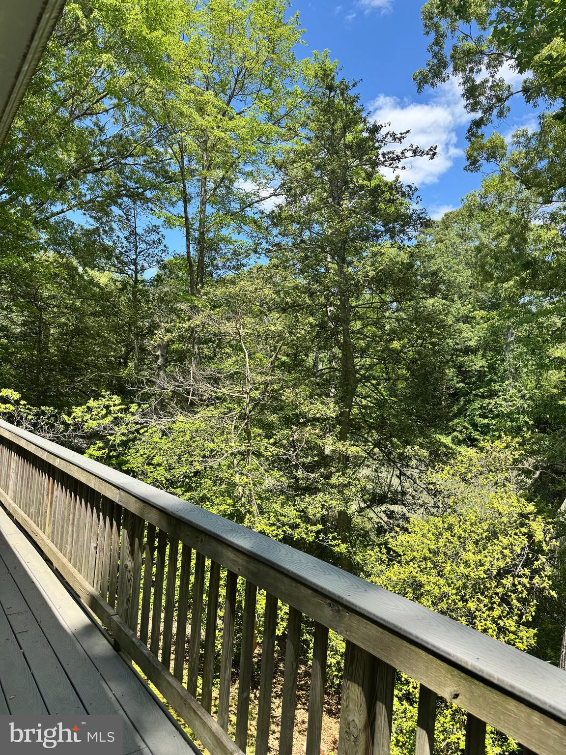 MYRTLE POINT - Residential