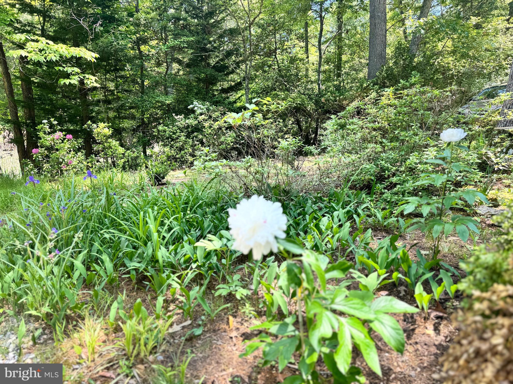 MYRTLE POINT - Residential