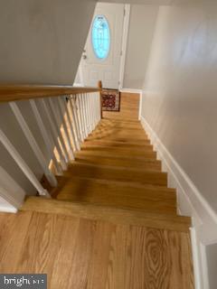 51 JENKINS AVENUE