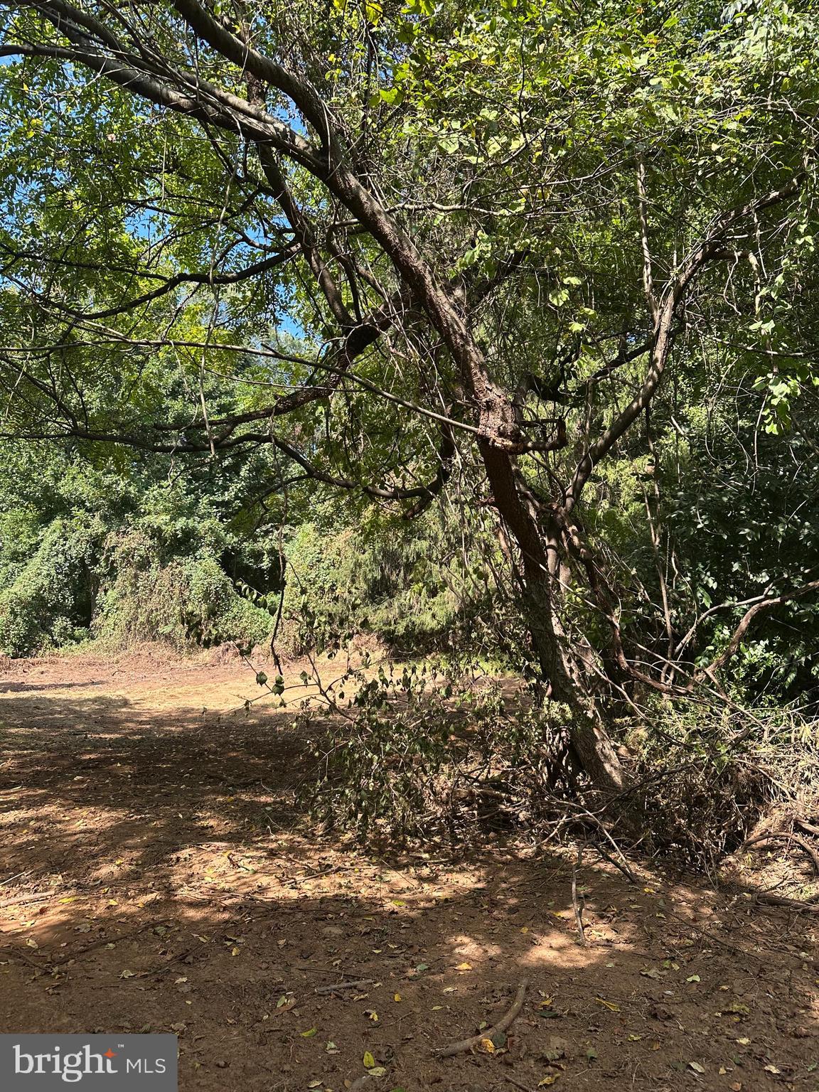 305 CROZERVILLE ROAD