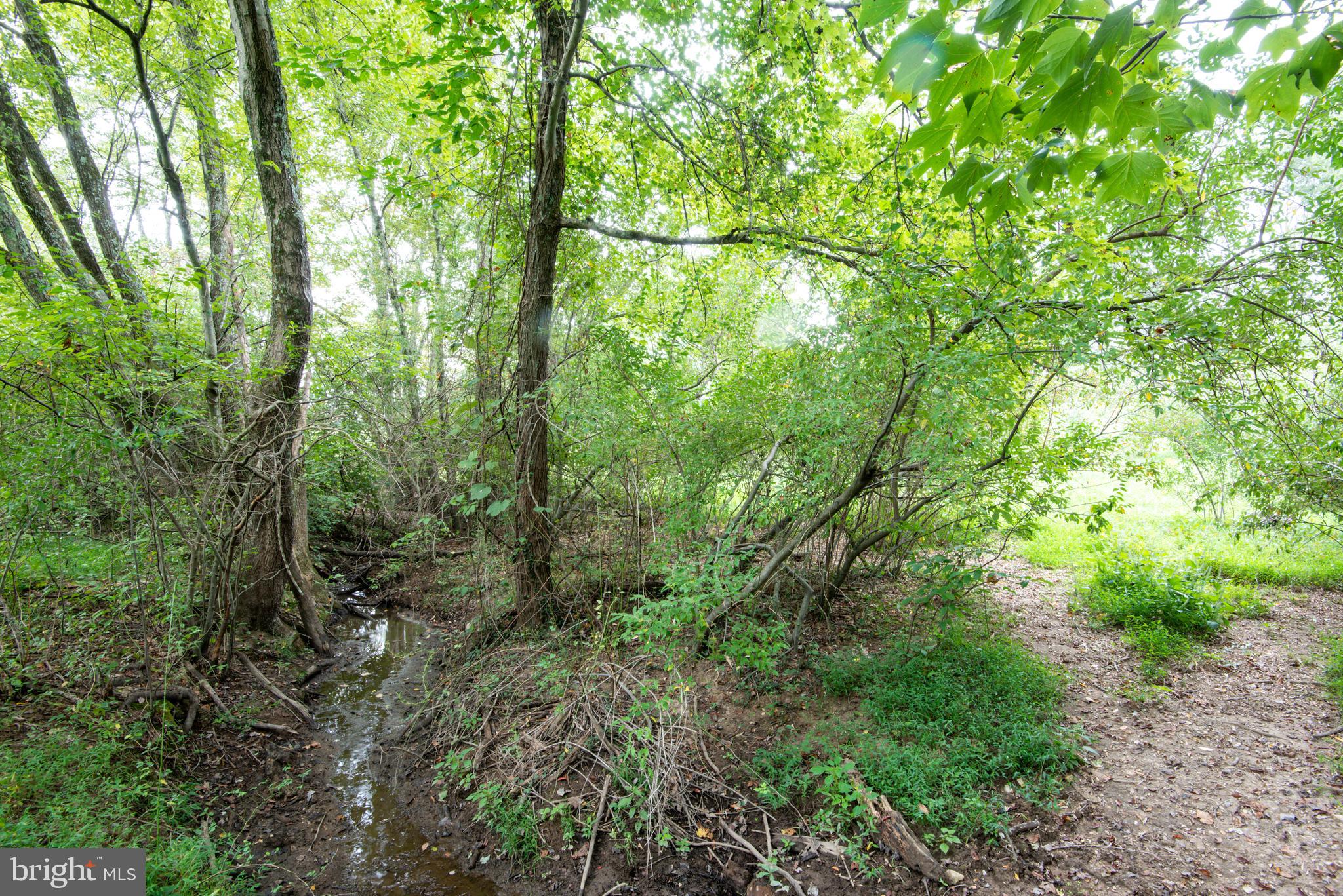 ROWZIE - Residential