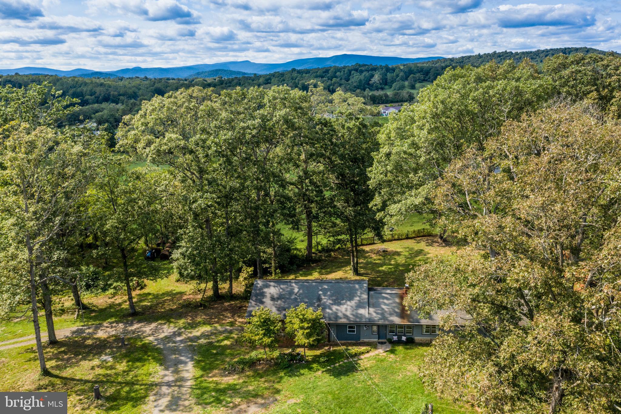 ROWZIE - Residential