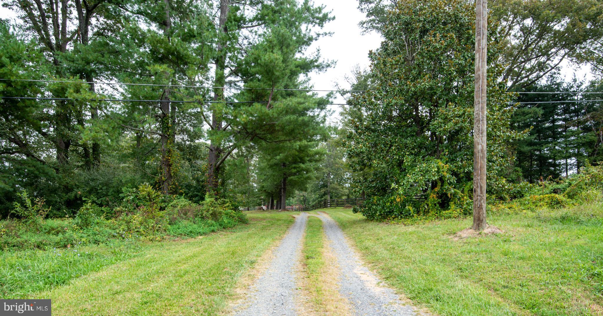 ROWZIE - Residential