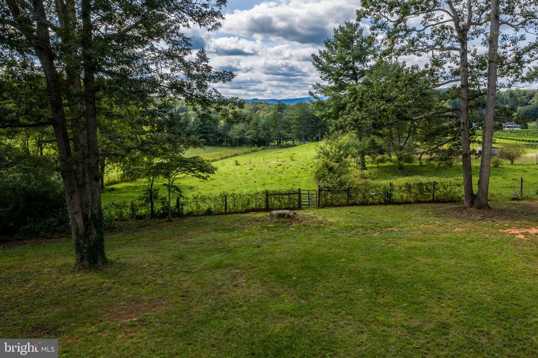 ROWZIE - Residential