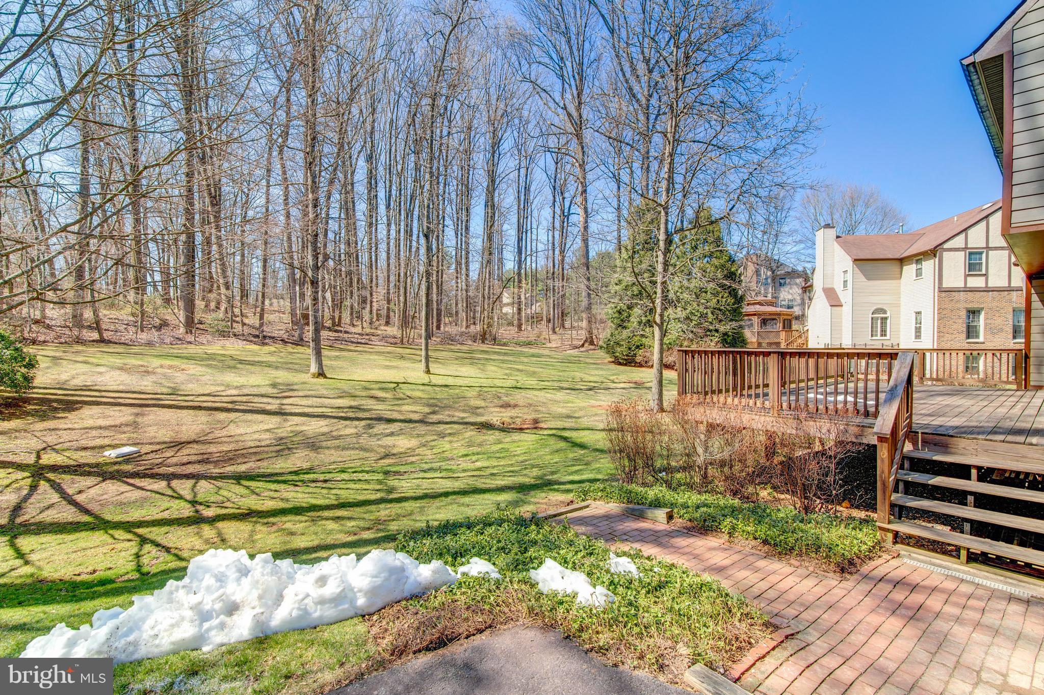 HICKORY HOLLOW FOREST - Residential