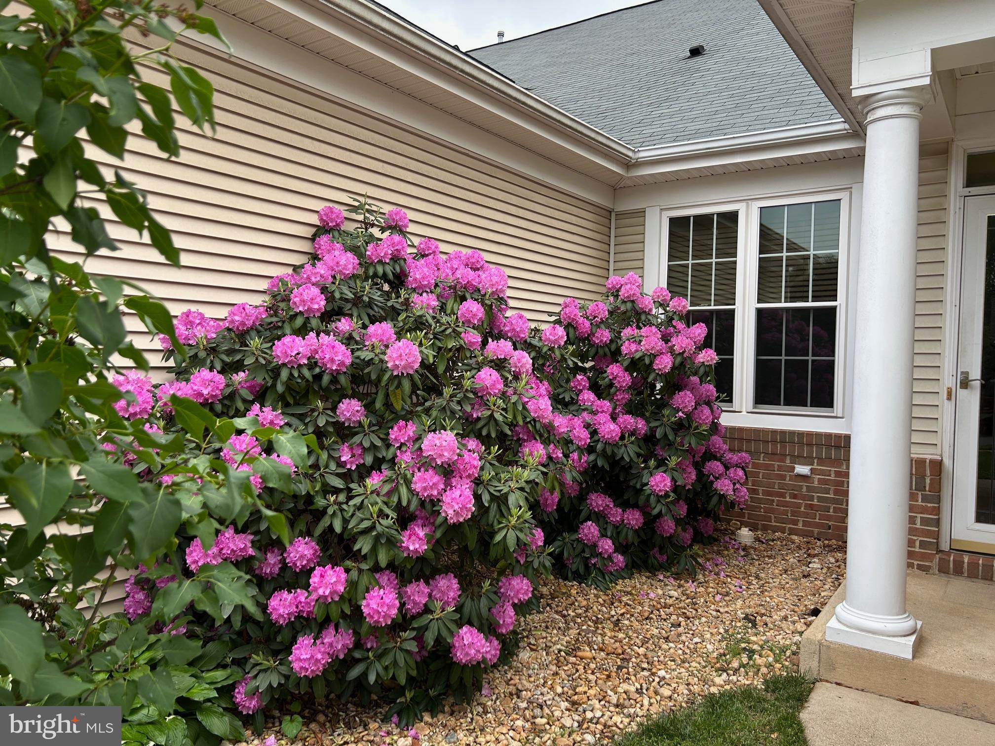 HERITAGE HUNT - Residential