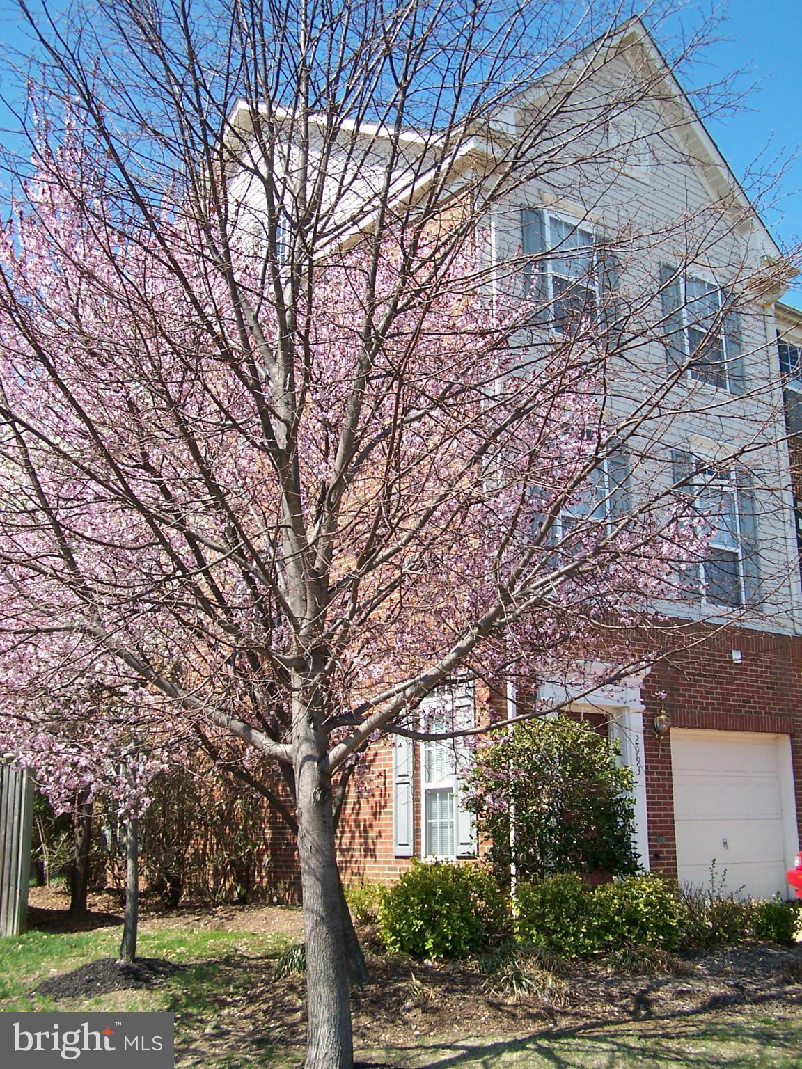 HUNTINGTON GROVE - Residential Lease