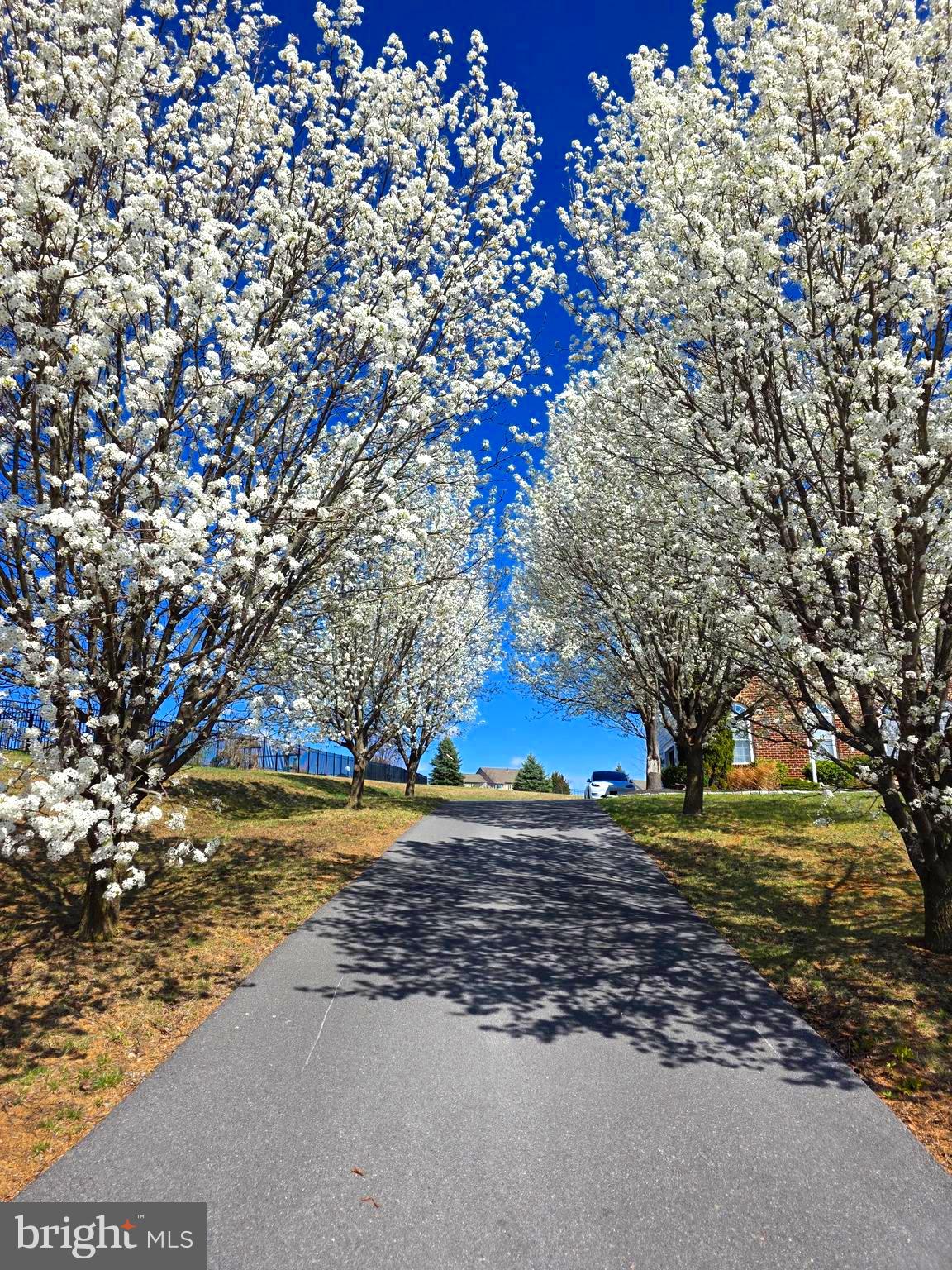 JACKSONS MEADOW - Residential