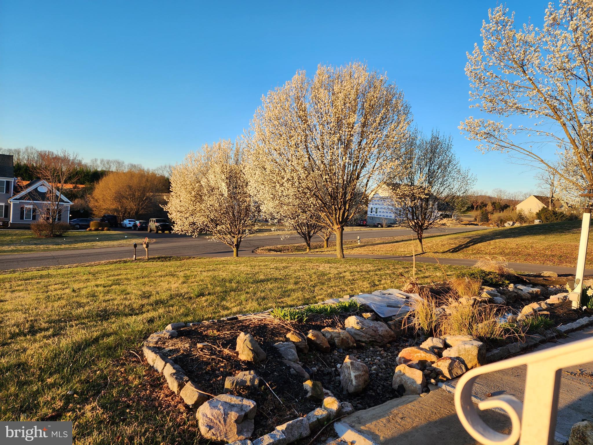 JACKSONS MEADOW - Residential